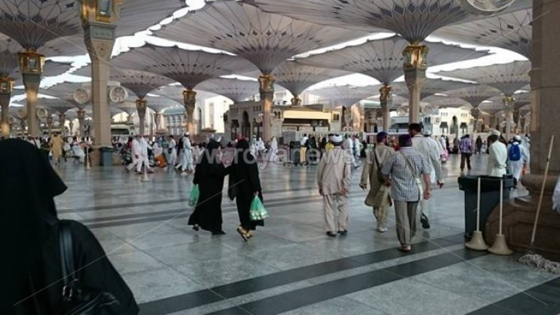 بالصور ..رؤيا ترصد حجاج بيت الله الحرام في المسجد النبوي