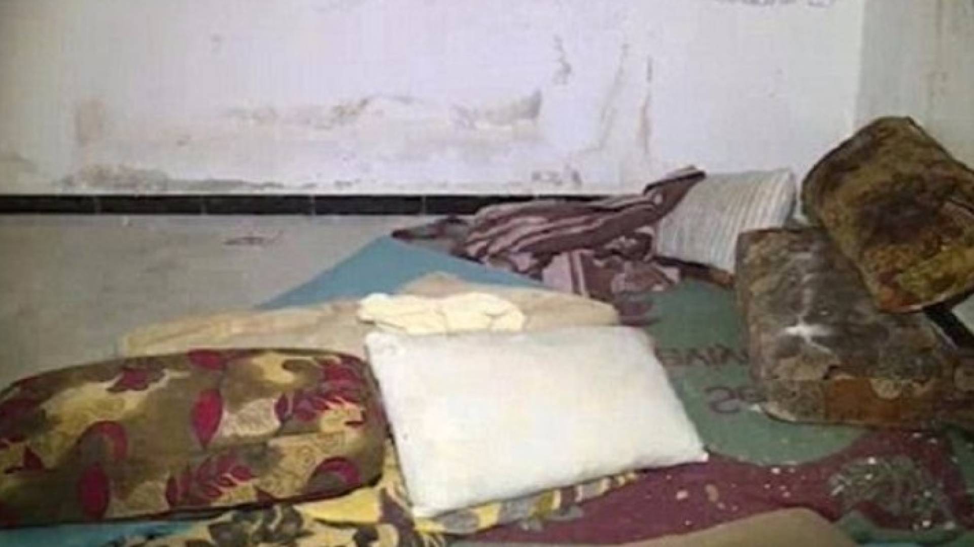 بالفيديو: سجن "سبايا داعش"