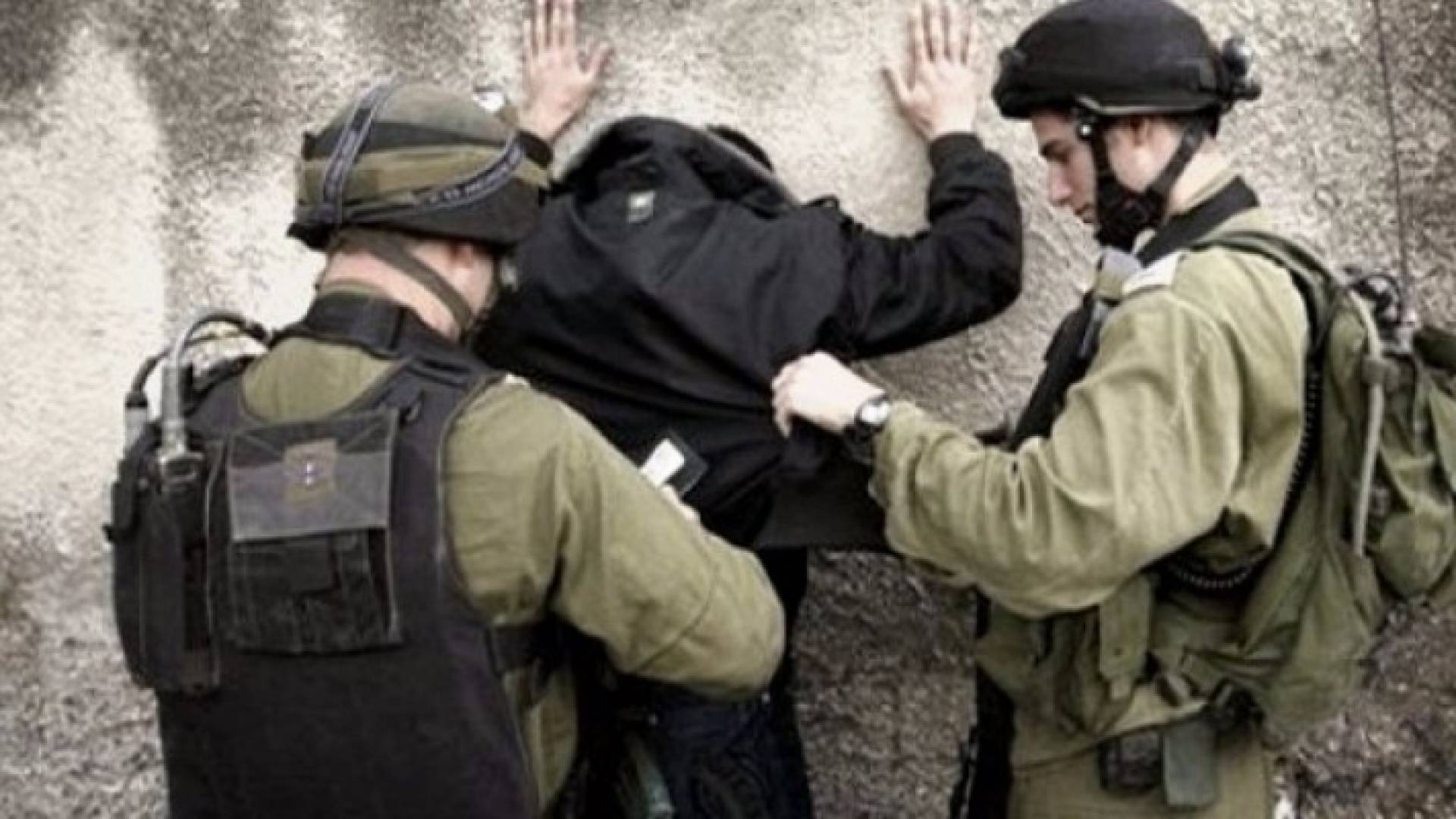 الاحتلال يعتقل 19 فلسطينيا