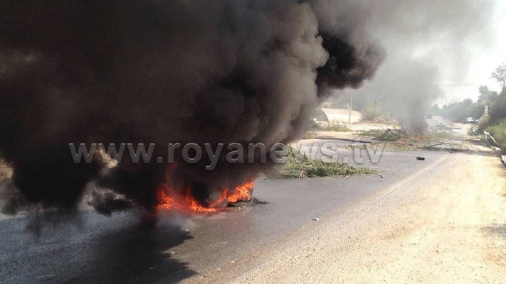 بالصور: شغب في الشونة الجنوبية