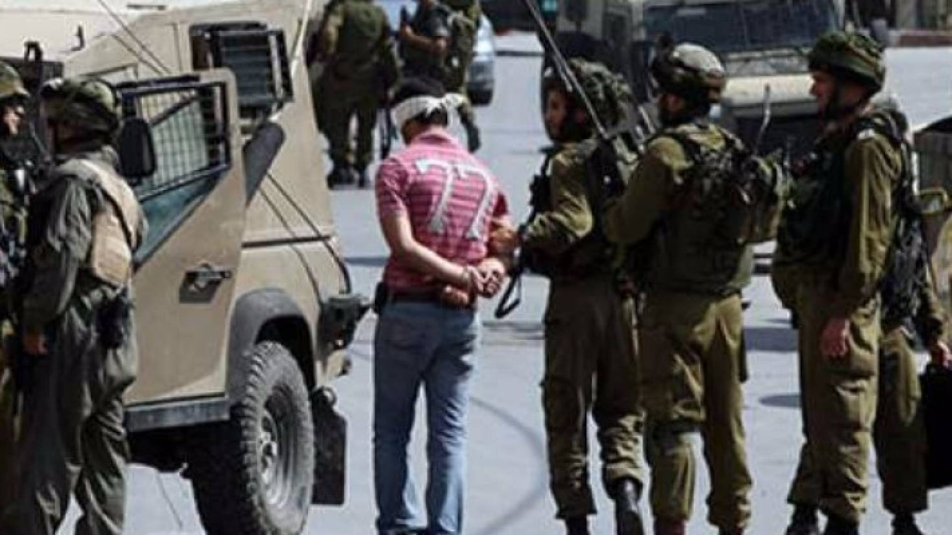 الاحتلال يعتقل 11 فلسطينيا