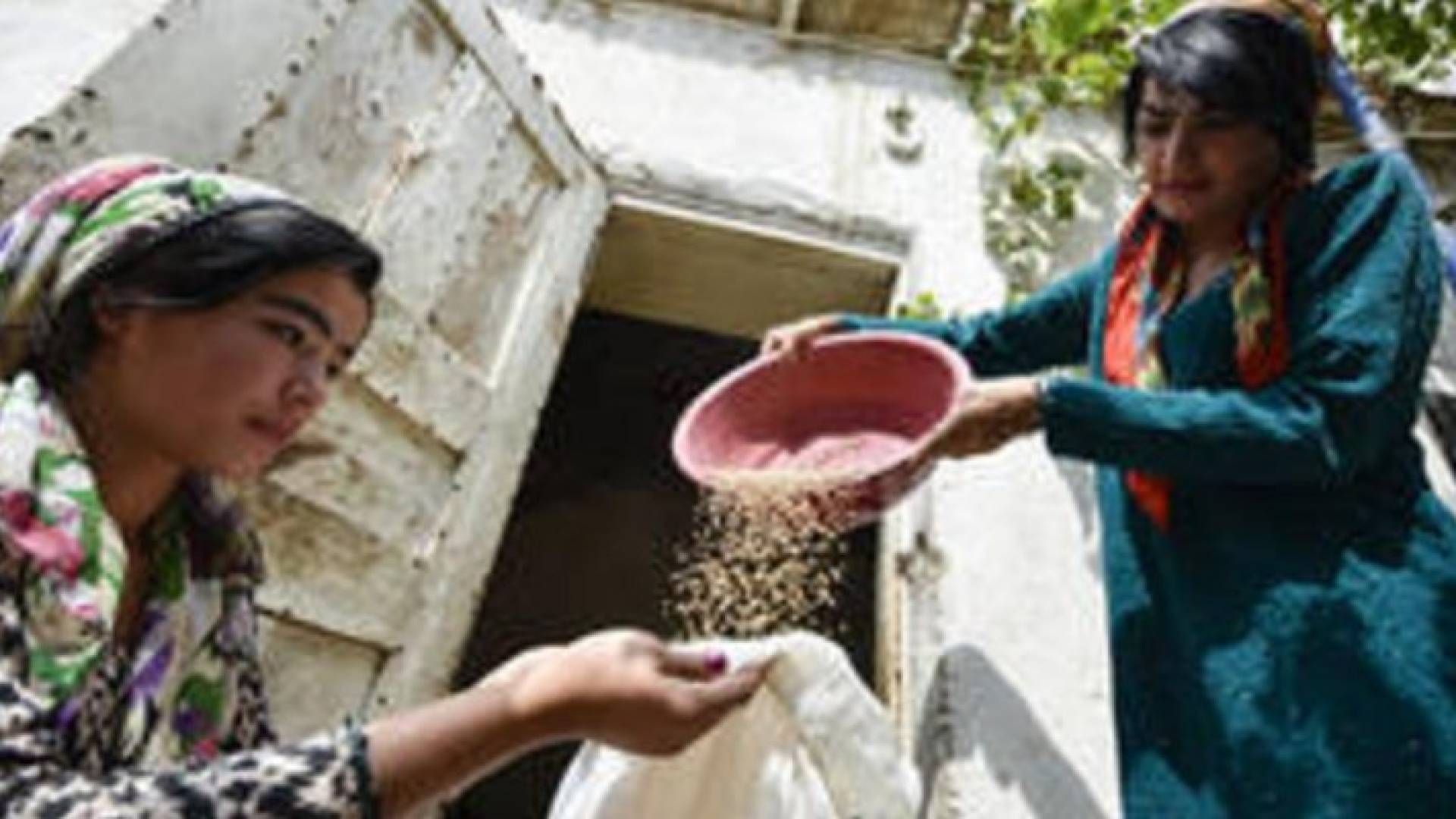 أسعار الغذاء العالمي في أعلى مستوى منذ عام ونصف