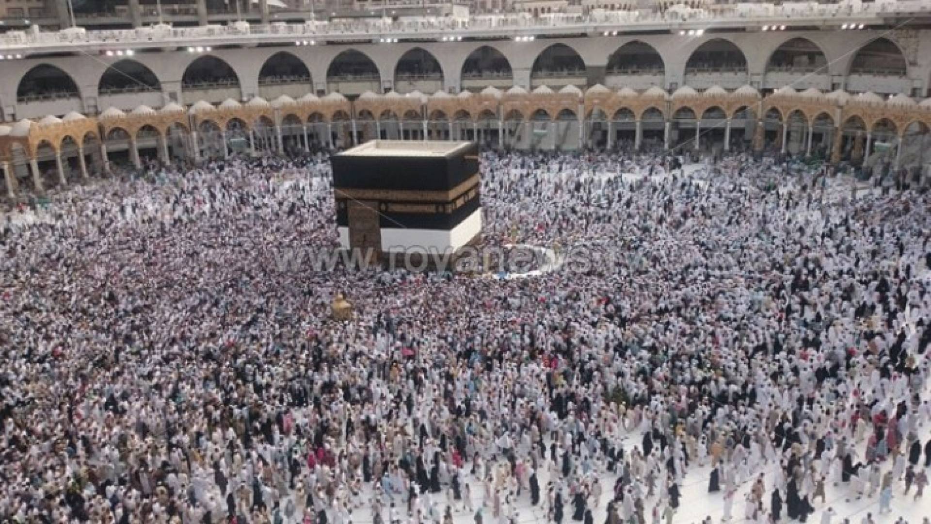 الحج بالأرقام