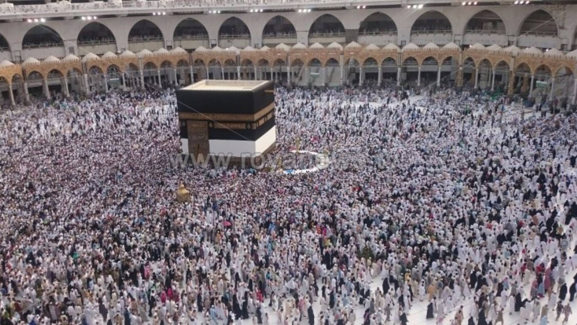 239 وفاة منذ بدء موسم الحج