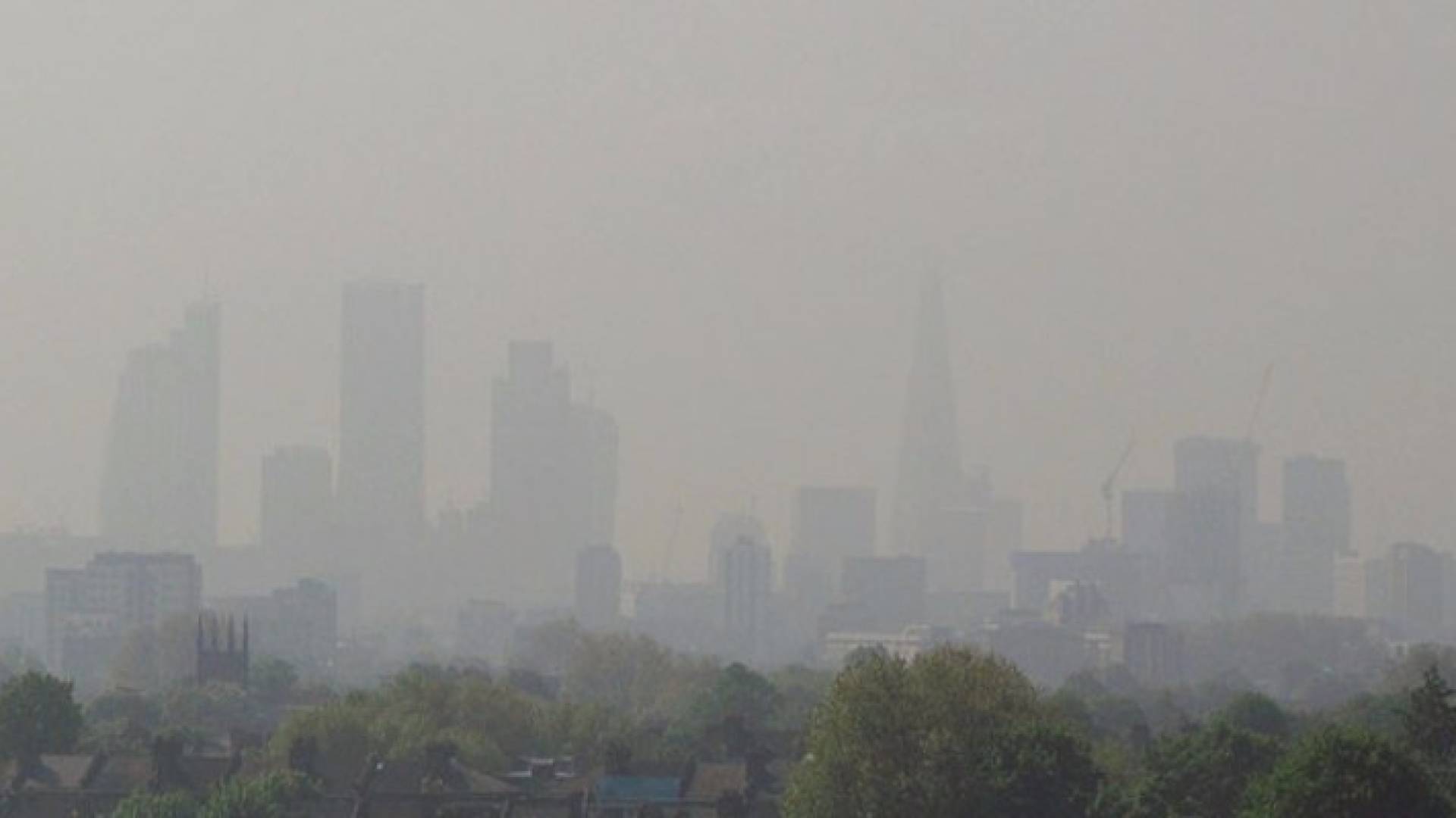 ما العلاقة بين تلوث الهواء والزهايمر؟