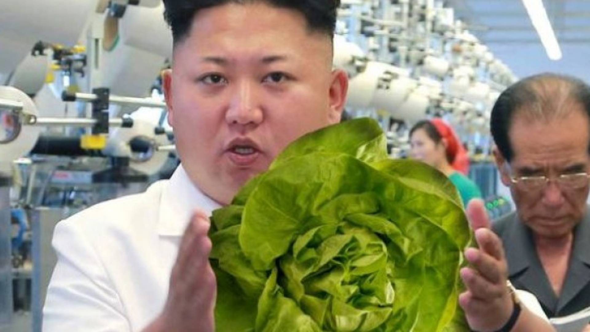 أيفعلها ويضرب بالنووي.. أغرب وأطرف 30 قرارا لزعيم كوريا