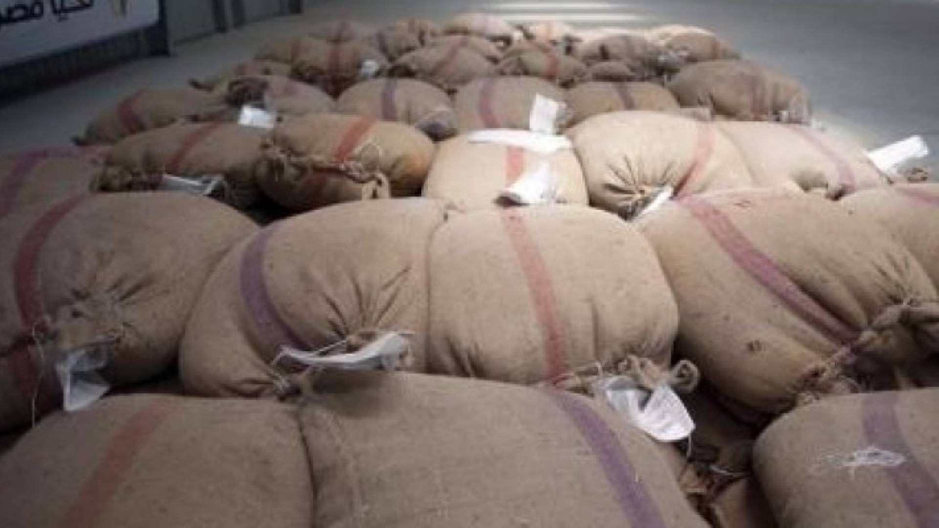روسيا: سياسة مصر لن تؤثر كثيرا على صادرات القمح