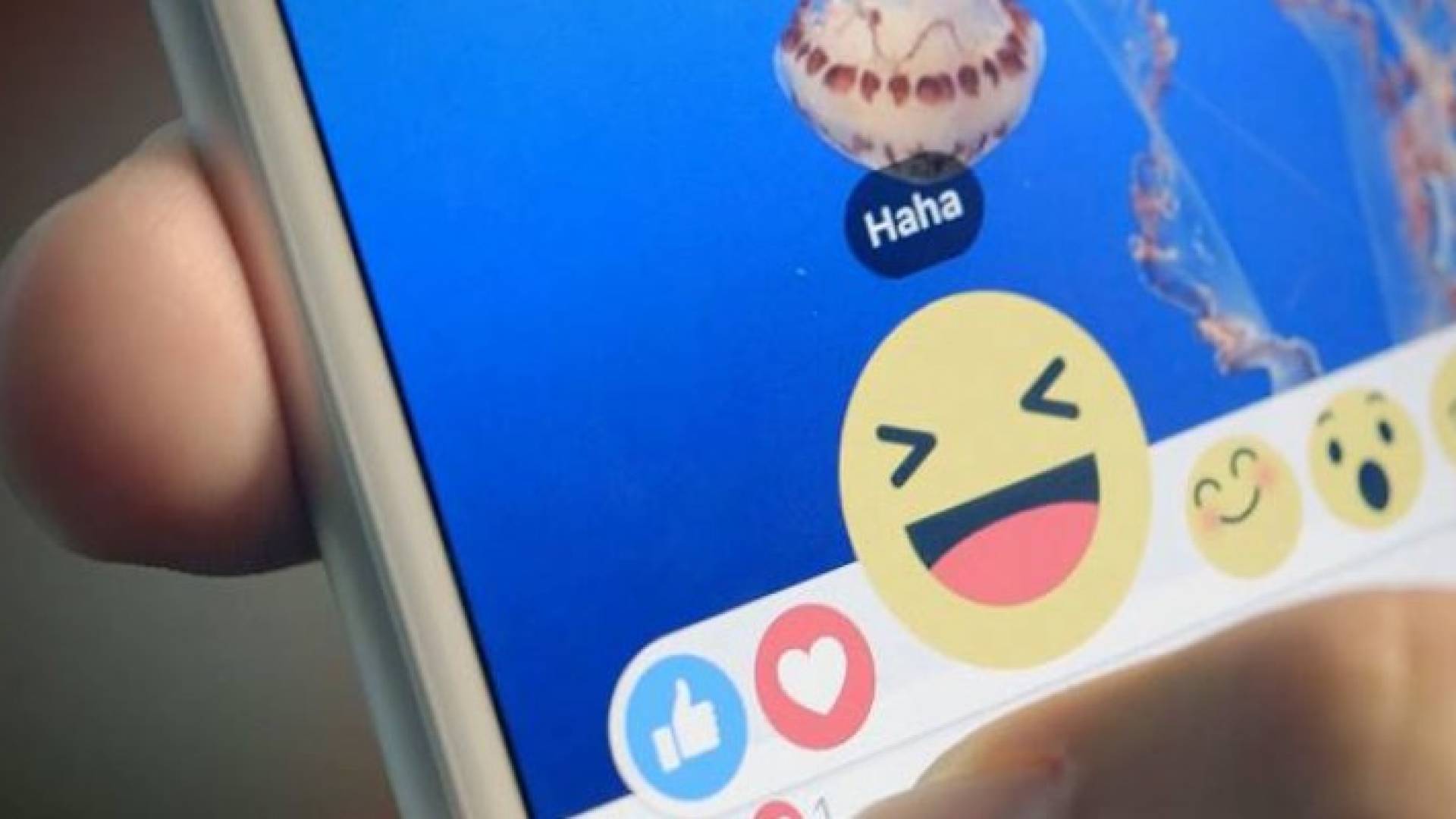 الصورة تعبيرية