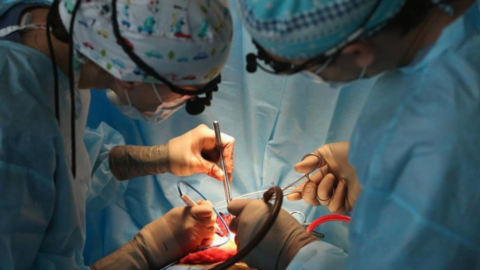 العثور على قلب بلا جسد في بلدة أميركية