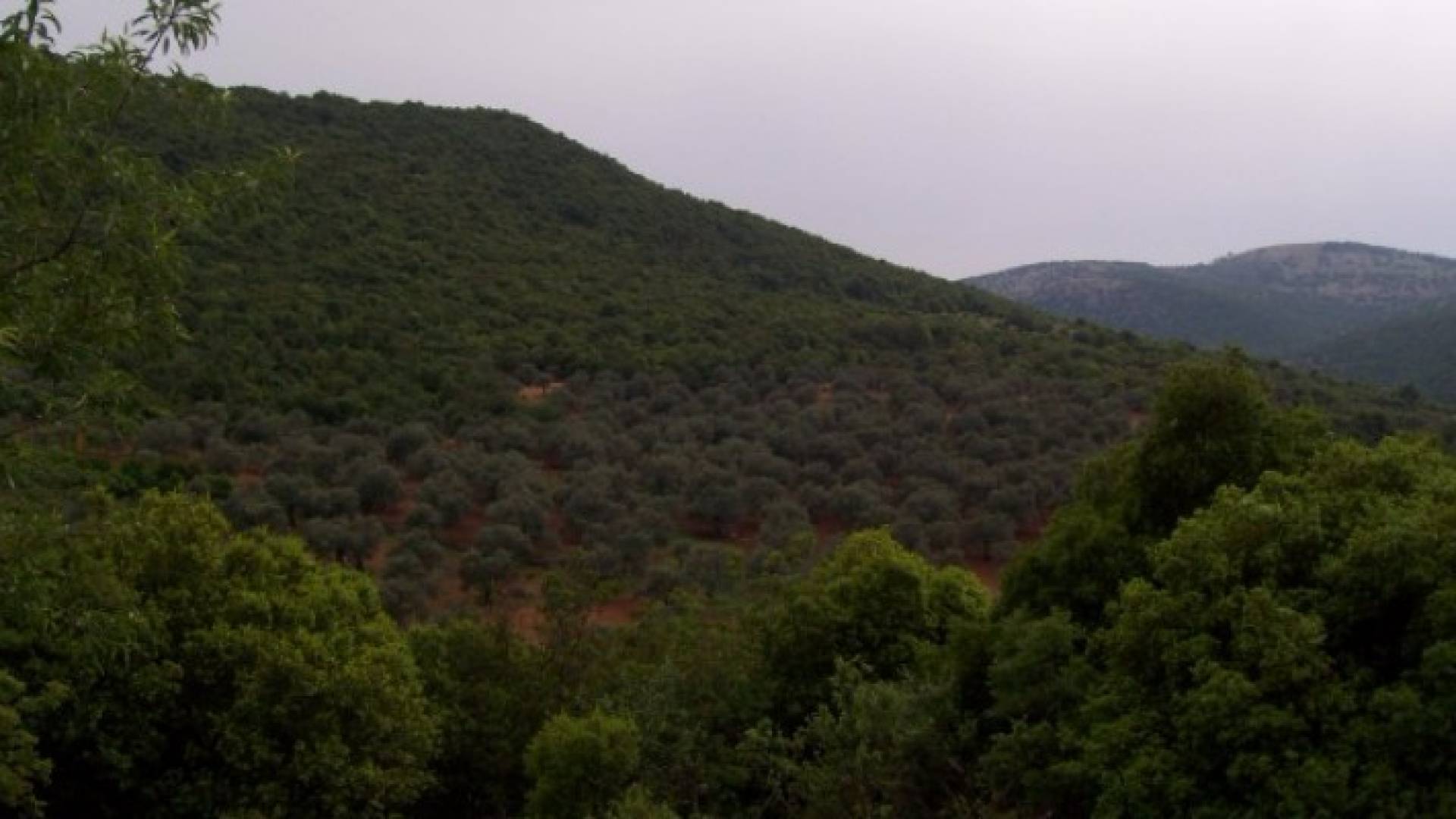 حالة الجو المتوقعة في المملكة السبت