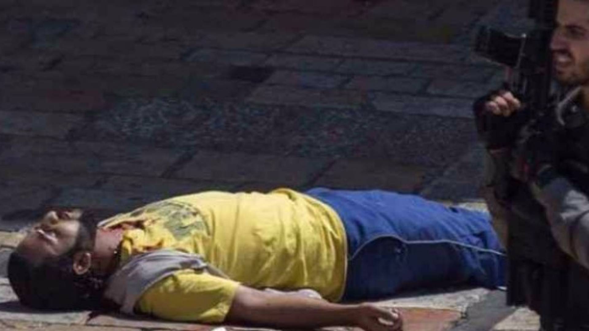 الخارجية: جريمة قتل الشهيد العمرو " فعل همجي "