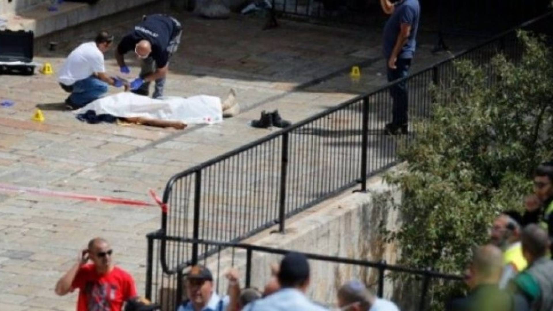 بعد استشهاد العمرو: الأعيان يطالب الحكومة باتخاذ الاجراءات لفضح الاحتلال