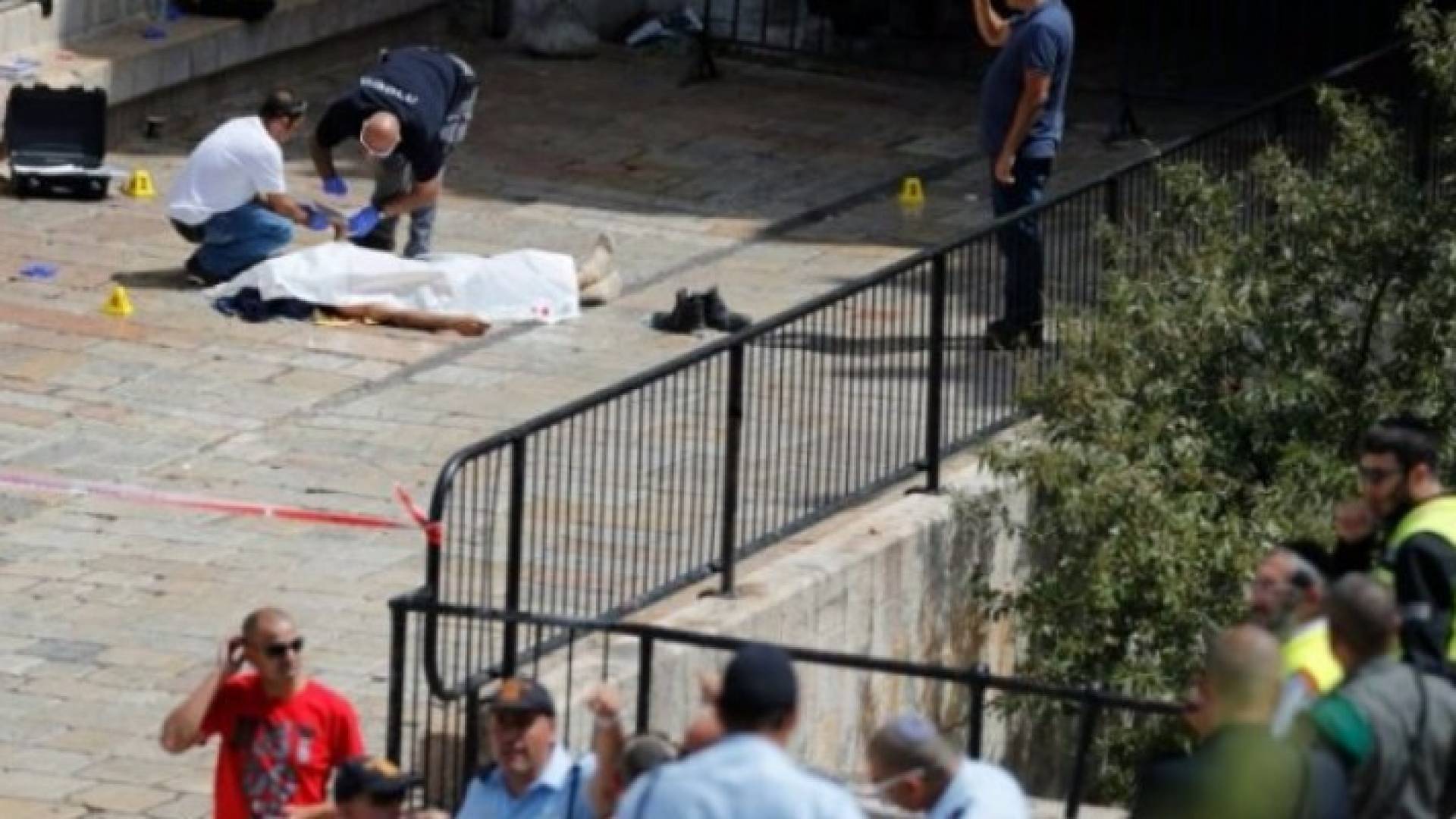 نتائج تشريح جثمان الشهيد العمرو .. تفاصيل