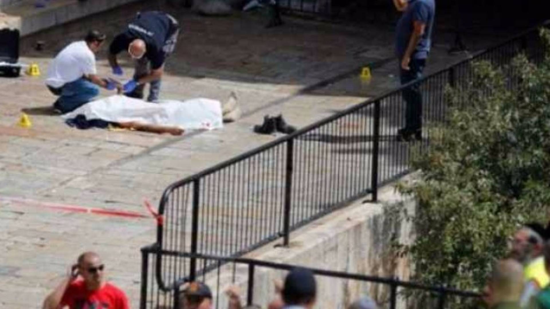 الحكومة تطلب من السفيرة الاسرائيلية تفاصيل مقتل الشهيد العمرو