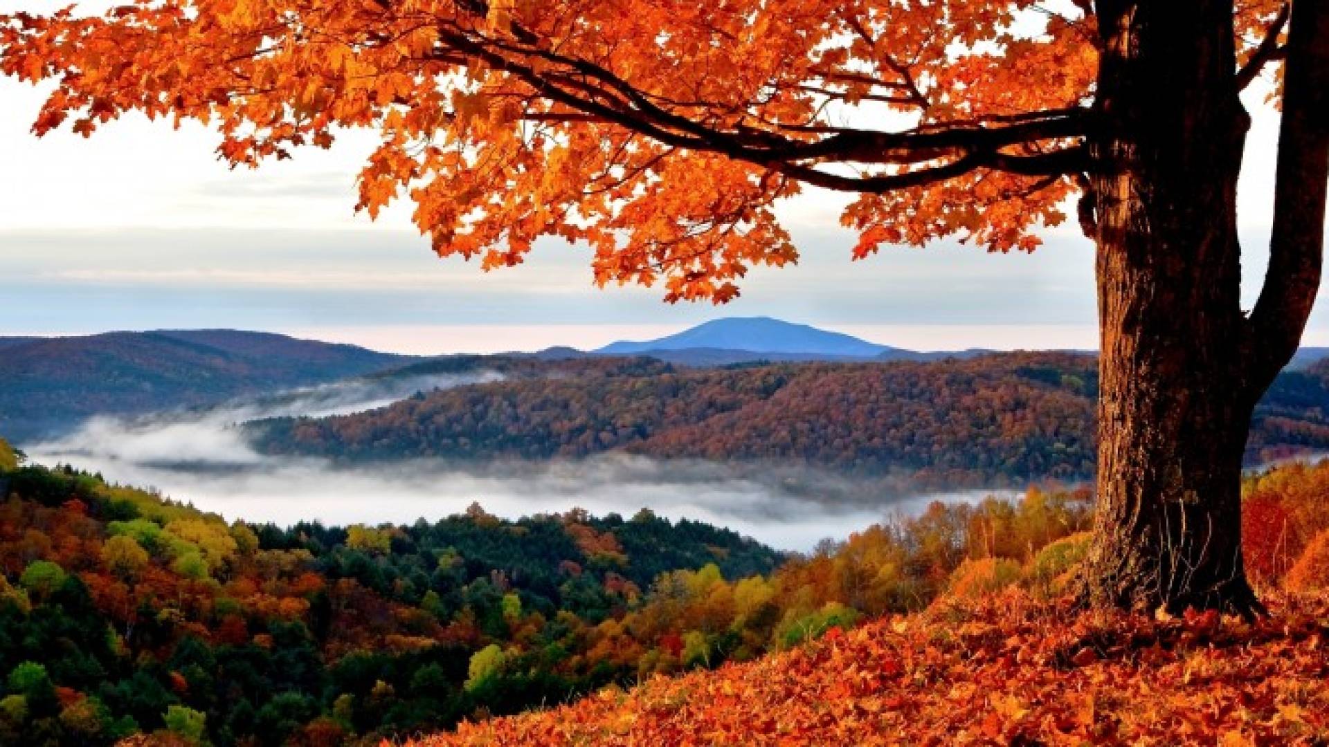 الخميس المقبل موعد الاعتدال الخريفي