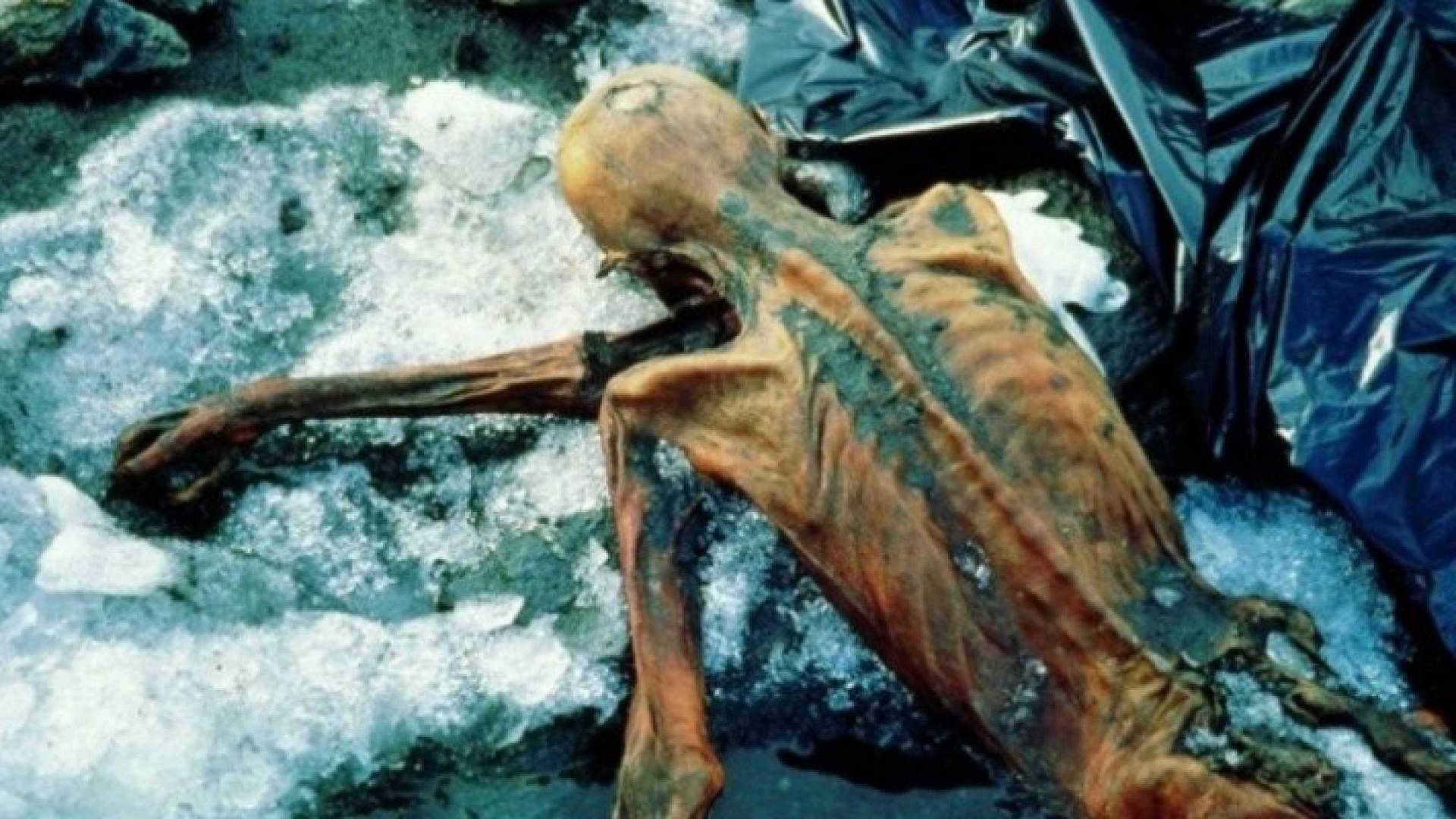 العلماء يواصلون استنطاق مومياء رجل الجليد