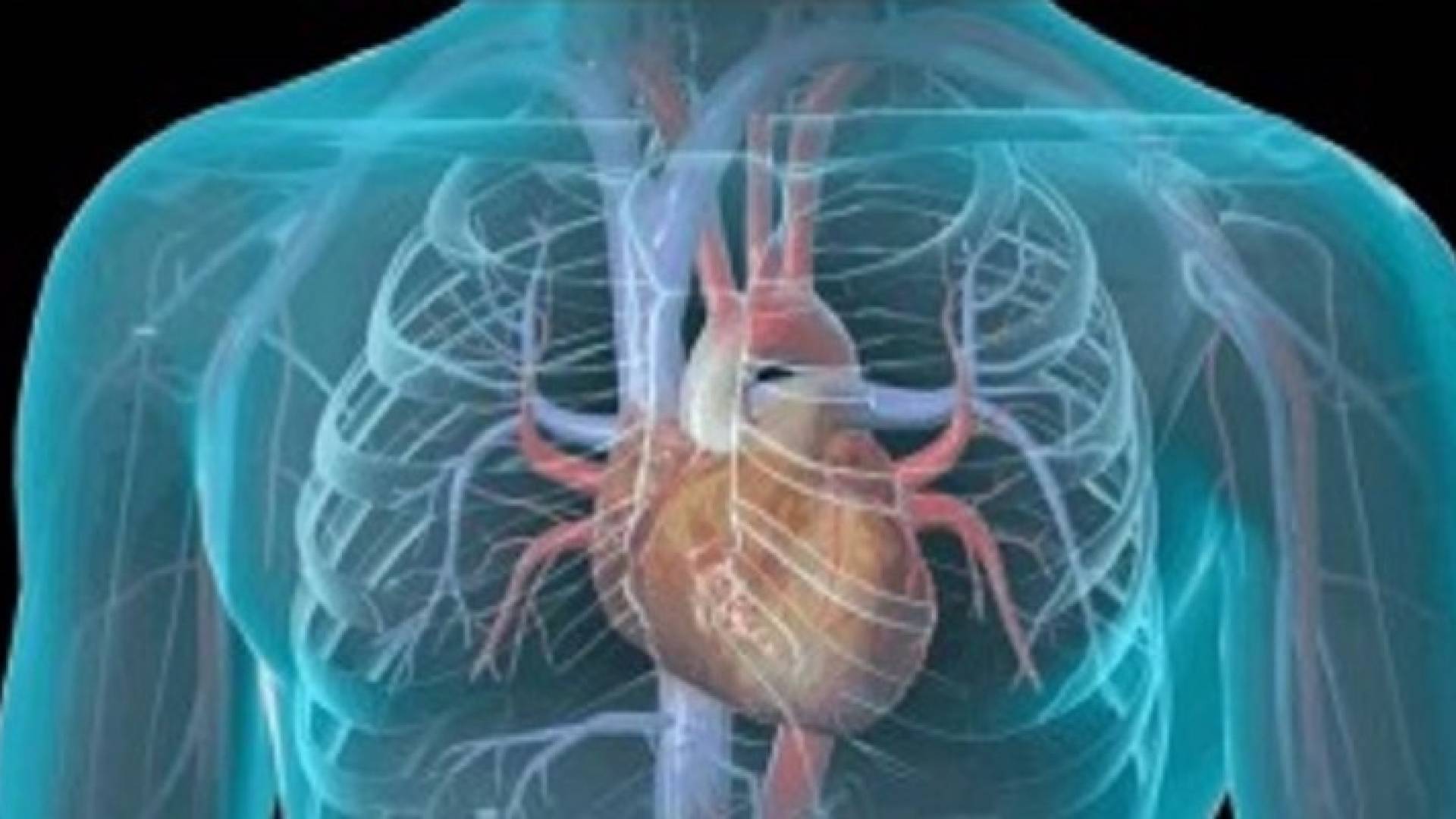 نصائح هامة لتجنب خطر الذبحة القلبية