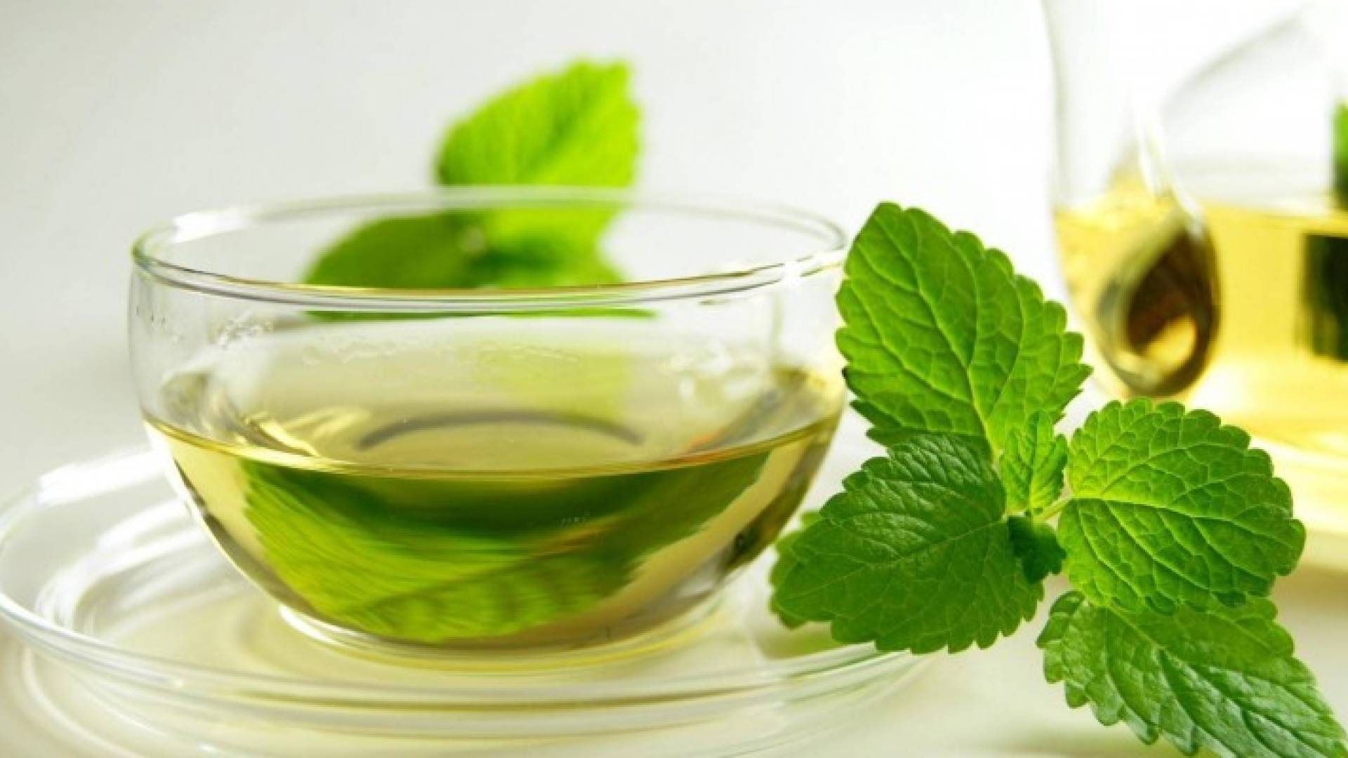 فوائد لا تعرفها عن الشاي الأخضر