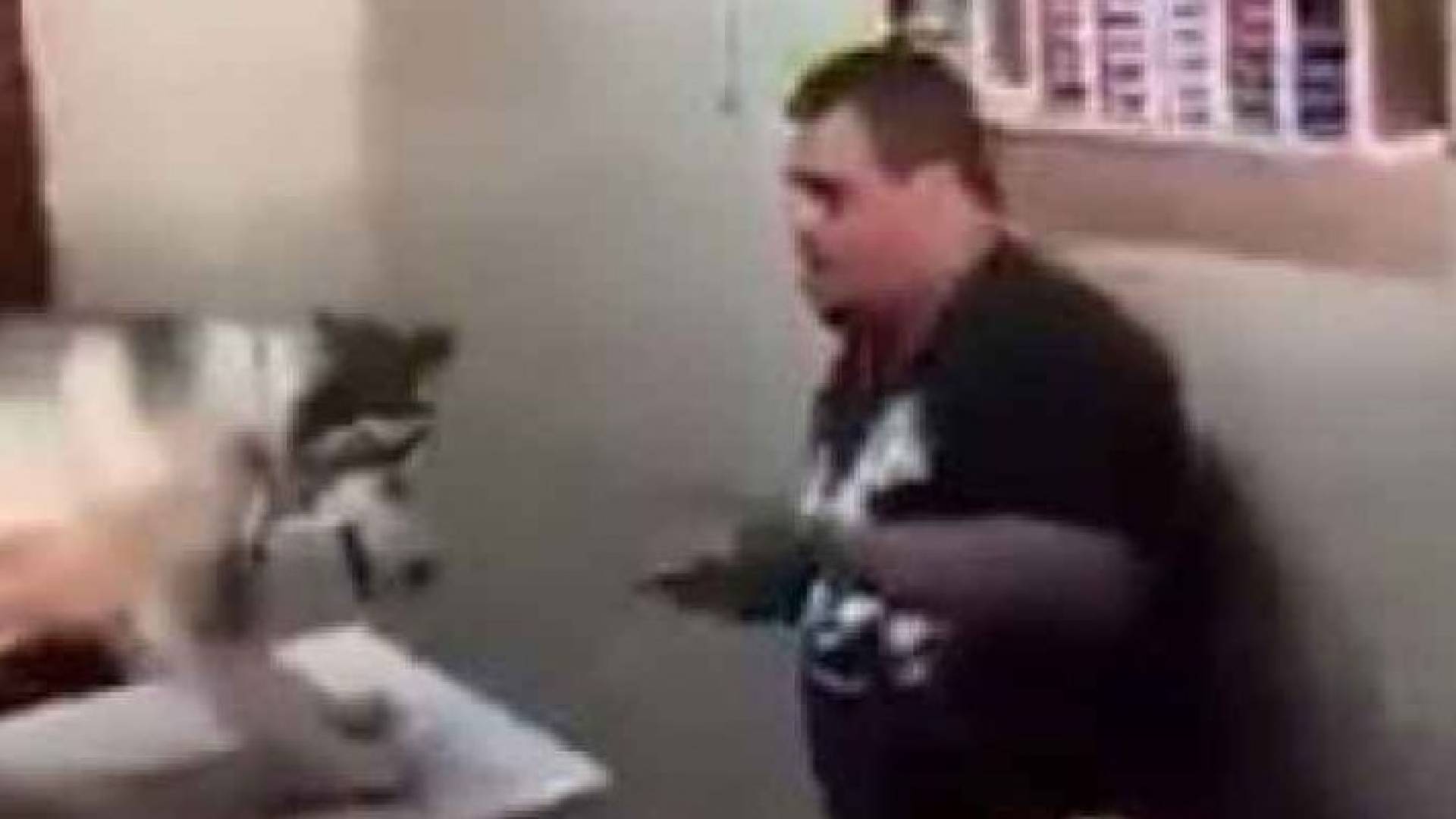 صورة من الفيديو