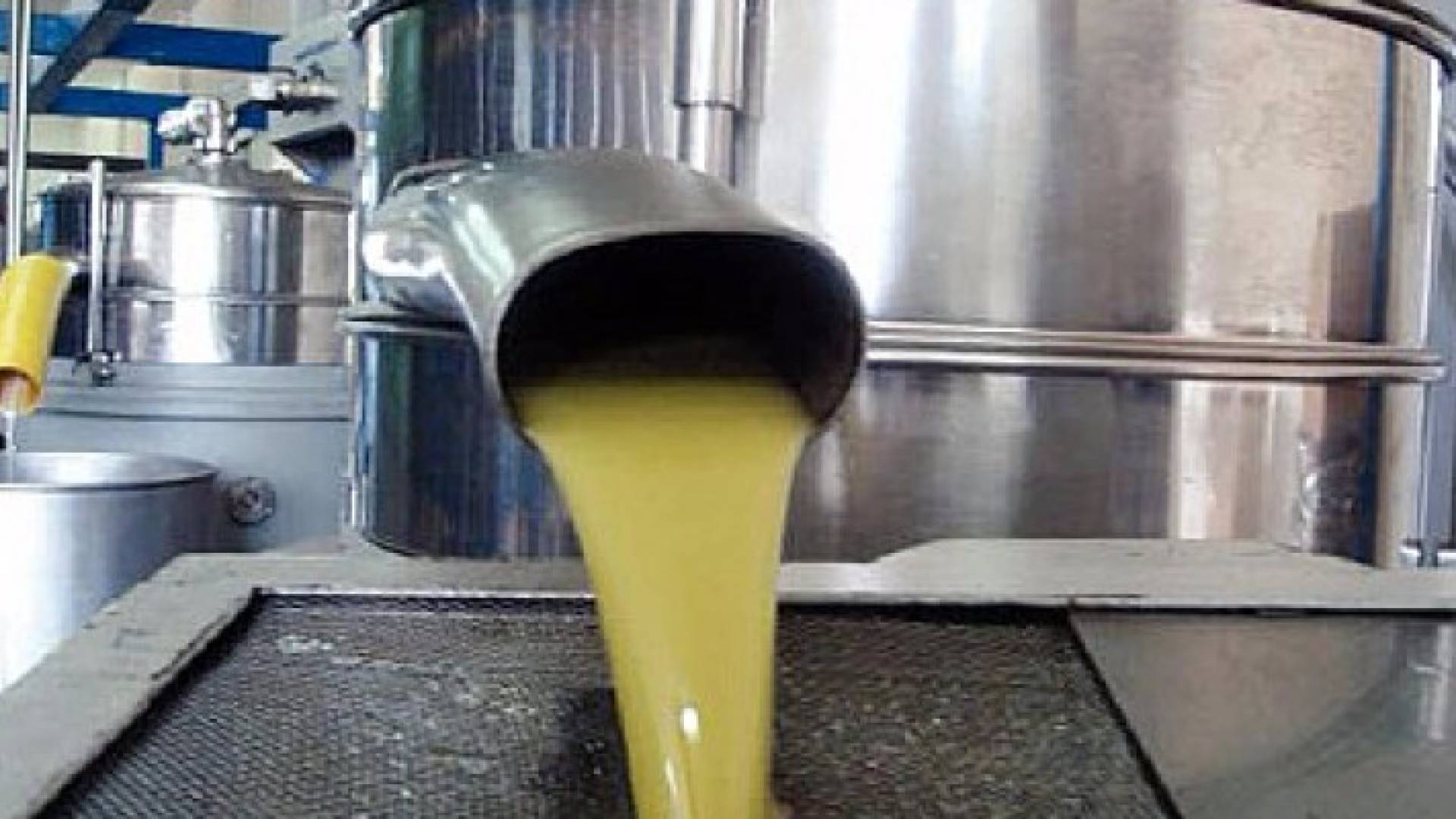 معصرة زيتون 