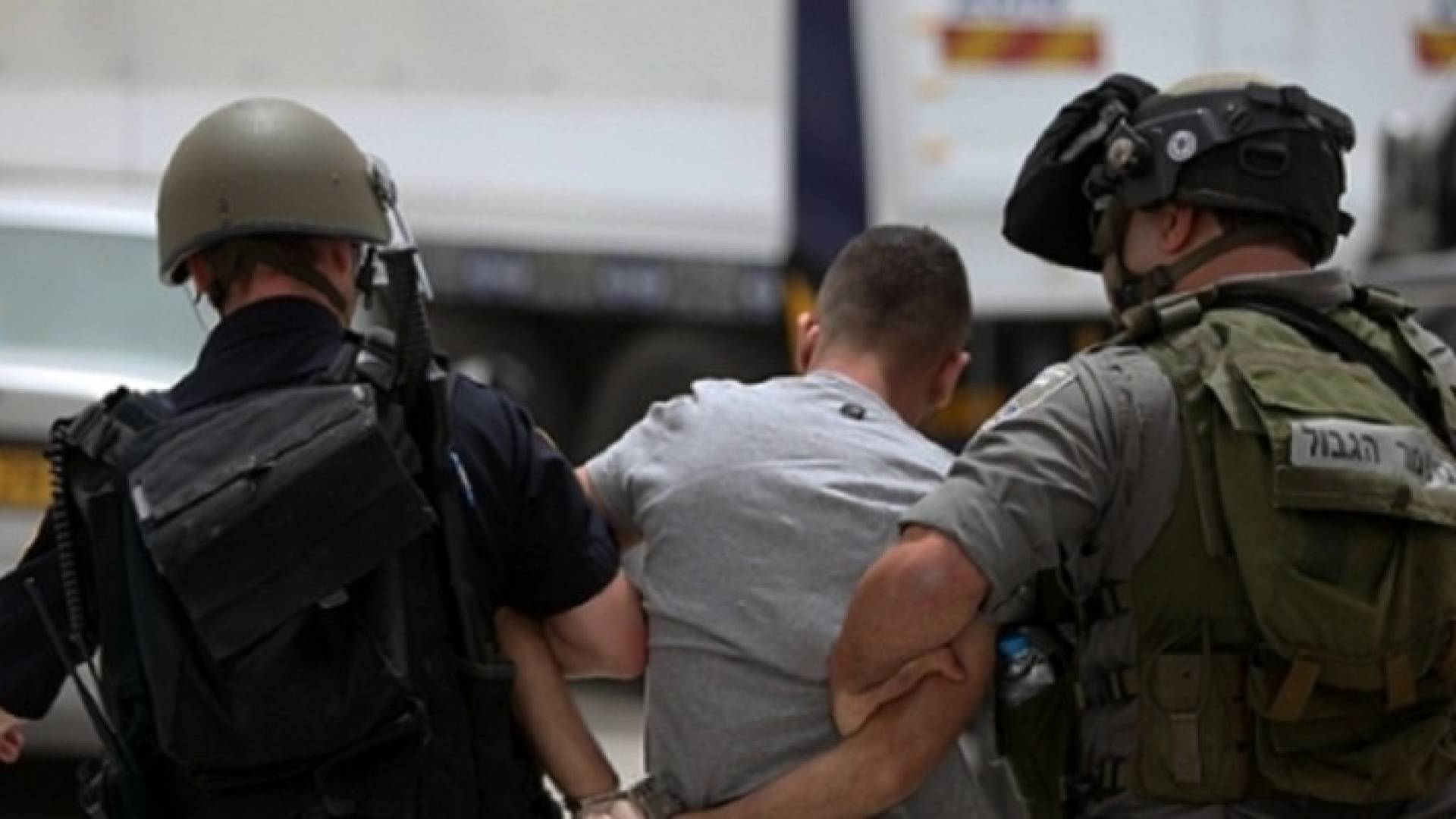 الاحتلال يعتقل 11 فلسطينيا