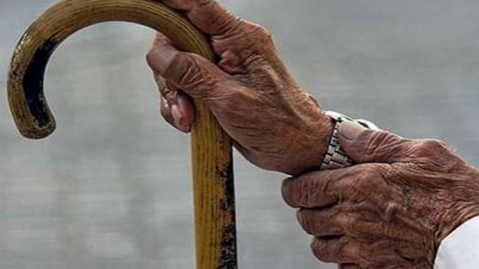 عدد كبار السن ذكور واناث بالمملكة نحو نصف مليون شخص