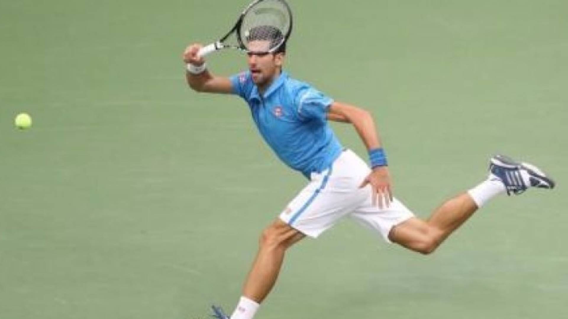 نوفاك ديوكوفيتش