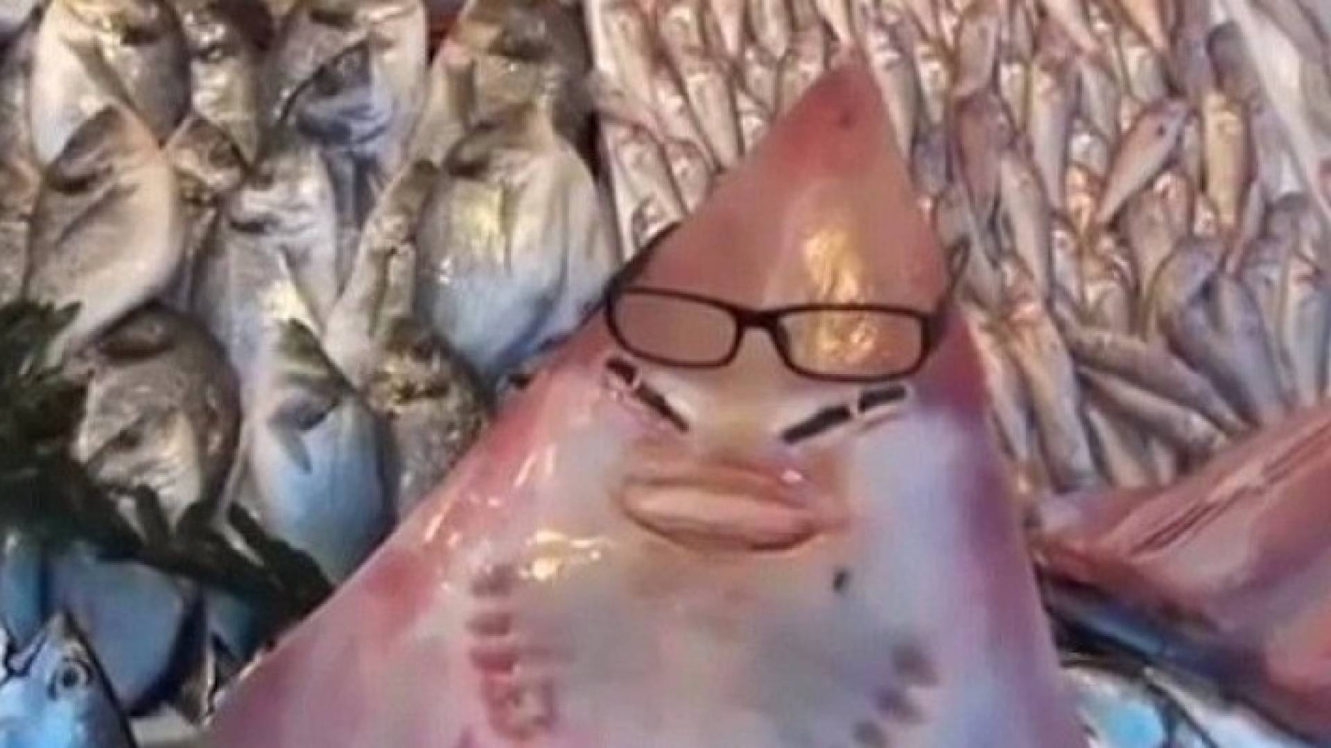 شاهد بالفيدو والصور: قرش نادر بملامح بشرية!