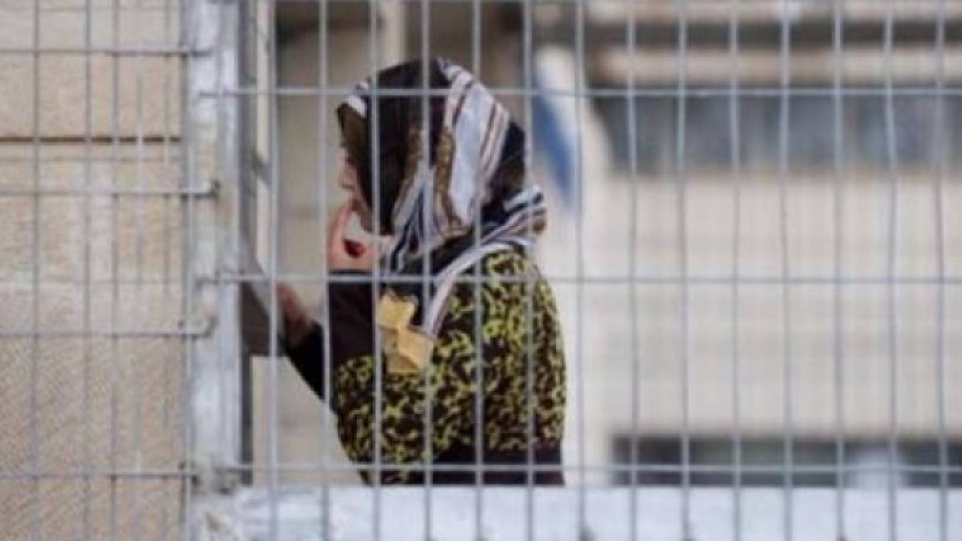 الصورة أرشيفية 