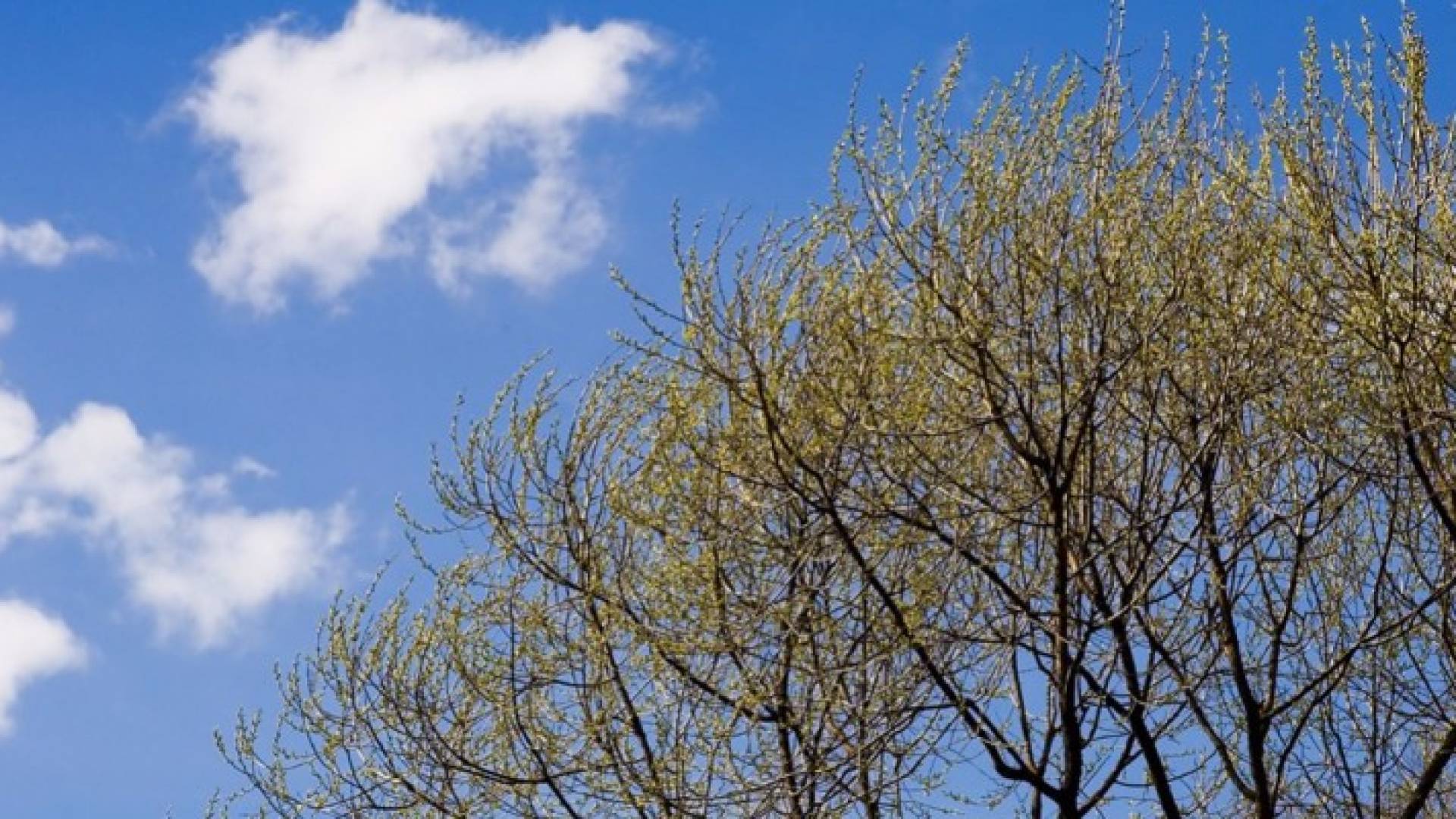 انخفاض الحرارة وارتفاع نسب الرطوبة اعتبارا من مساء الثلاثاء