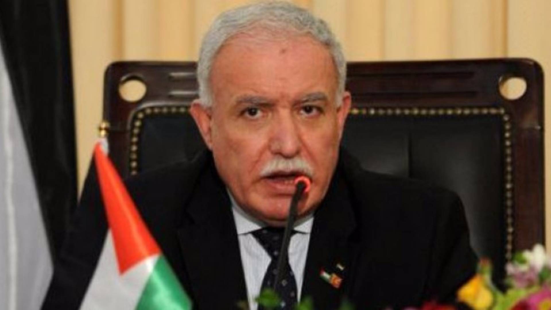 وزير الخارجية الفلسطيني رياض المالكي - أرشيفية