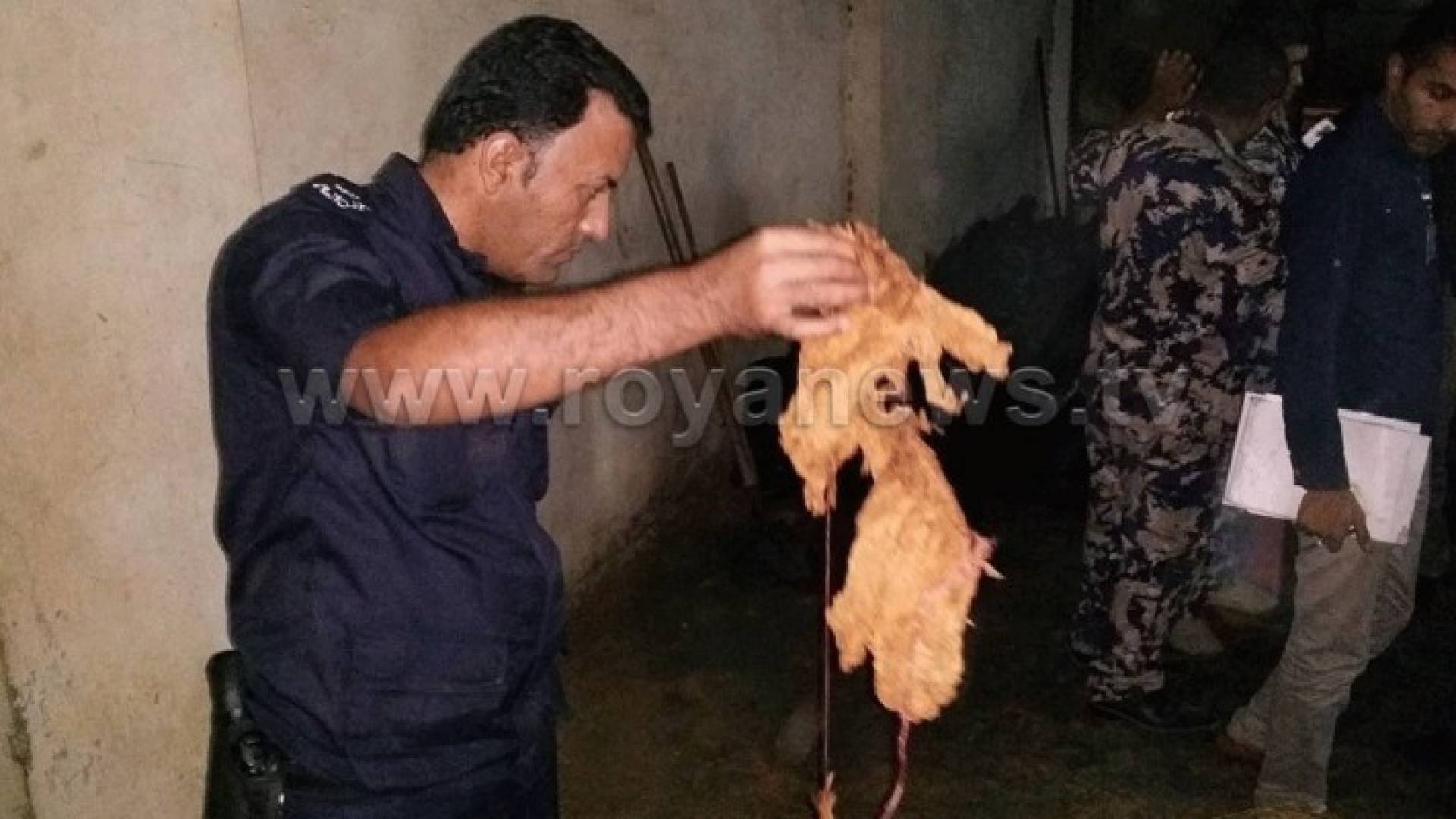 بالصور: ضبط 1.5 طن من التبغ الفاسد في مصنع باربد