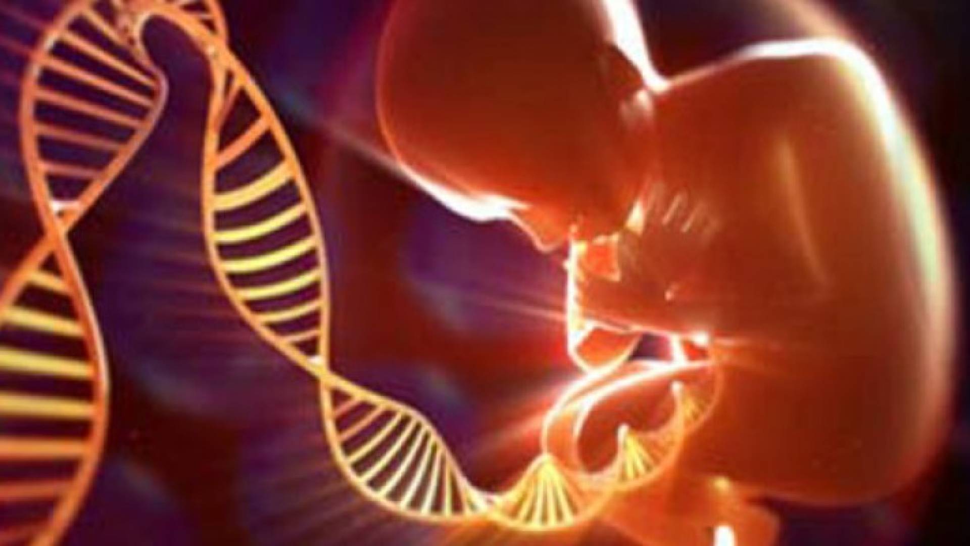 الأطفال يرثون ذكاءهم من أمهاتهم