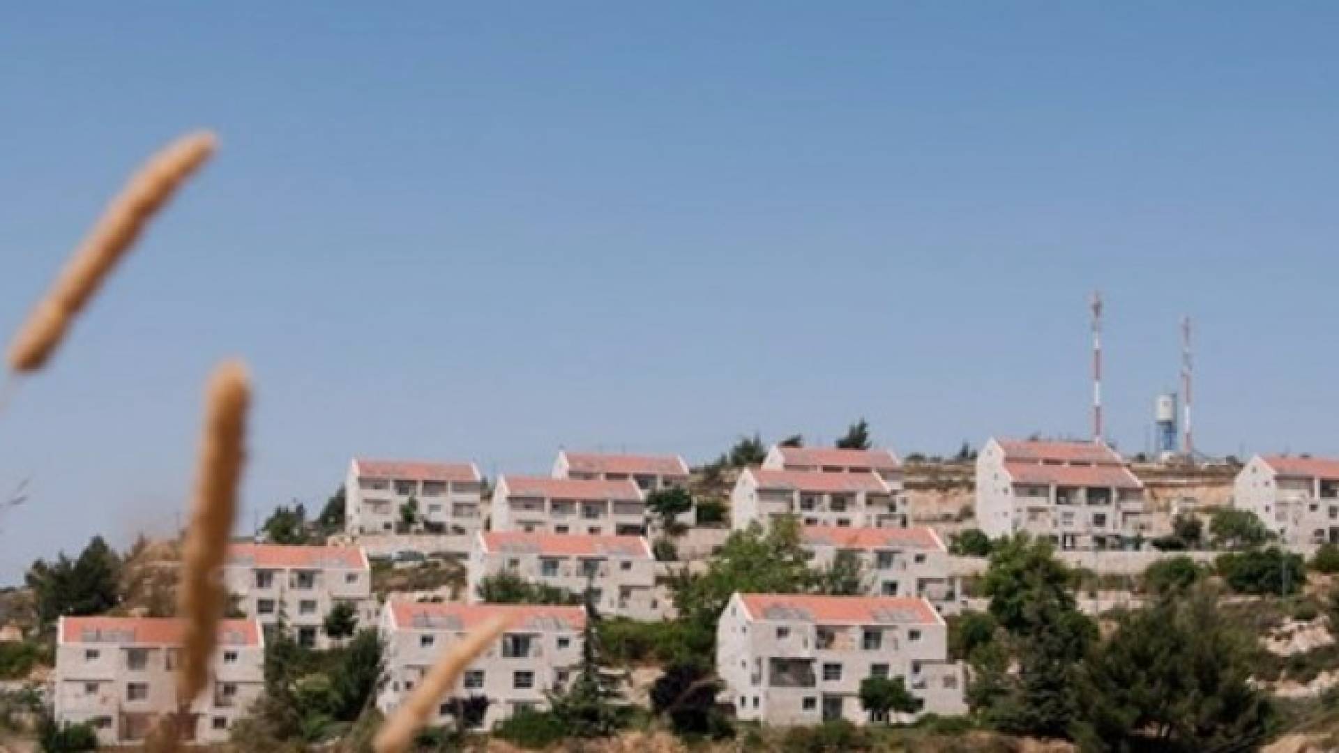 مستوطنات اسرائيلية