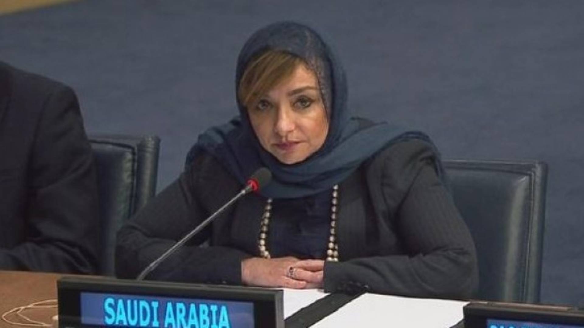 منال رضوان المنسق السياسي بوفد المملكة العربية السعودية الدائم في الأمم المتحدة
