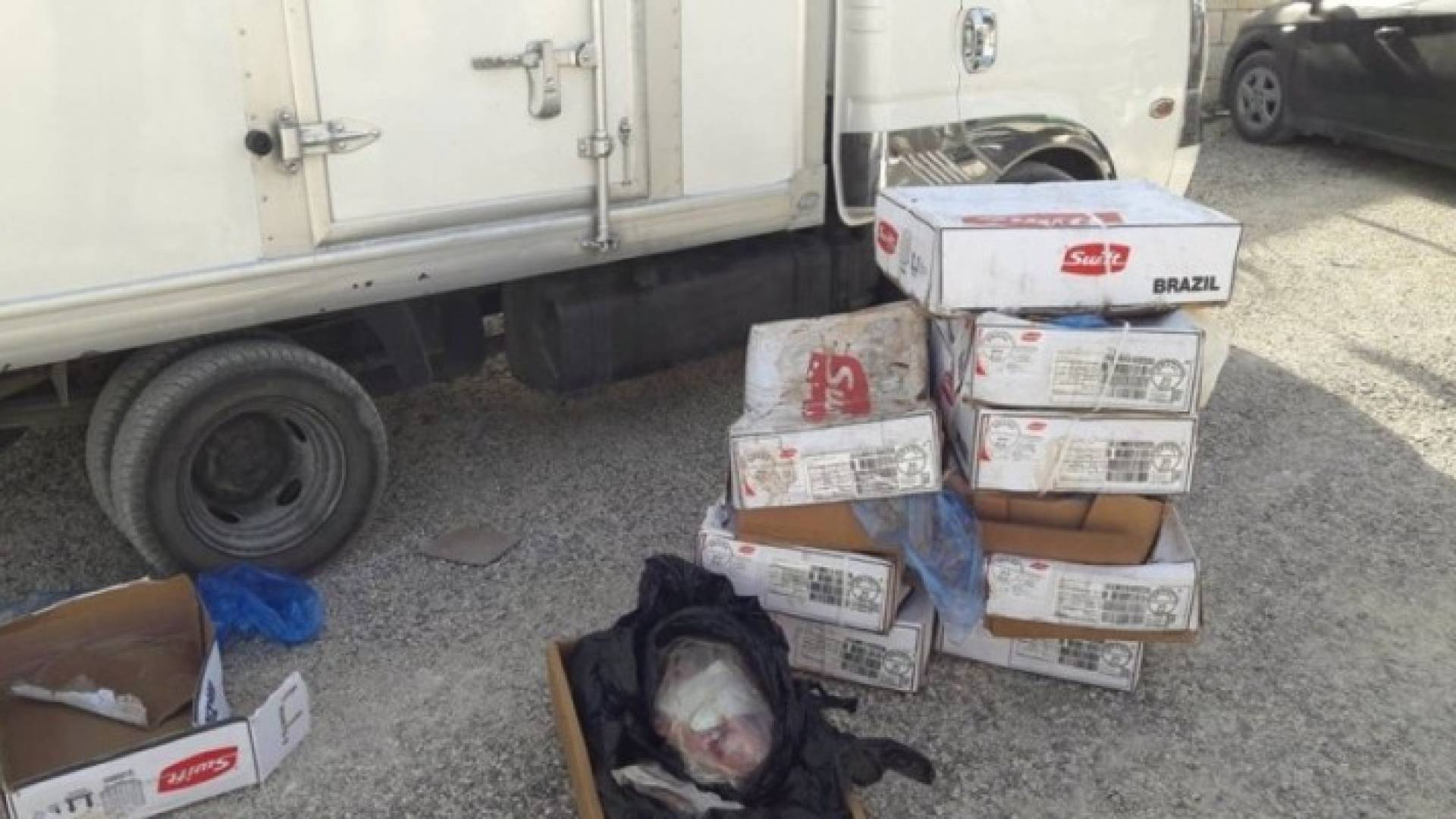 ضبط سيارة محملة باللحوم الفاسدة