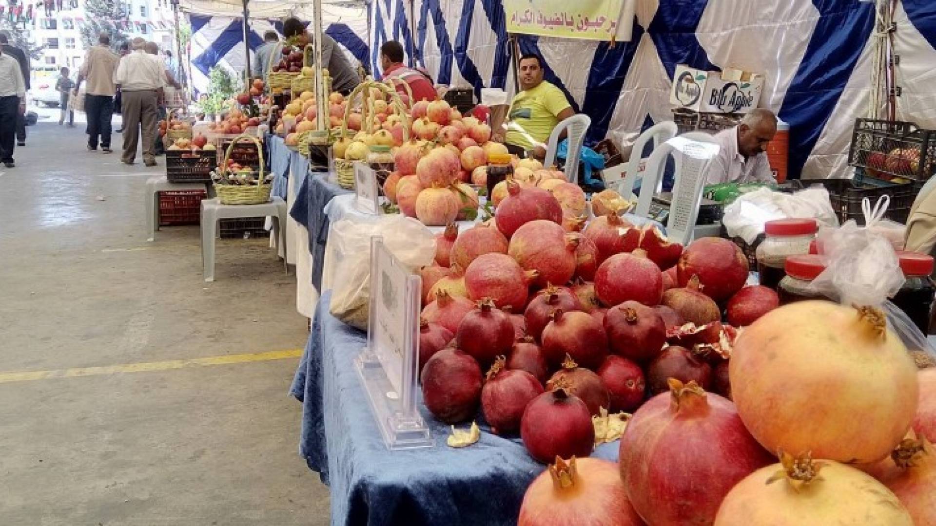 جانب من مهرجان الرمان في اربد - الصور من عبدالله نشوان