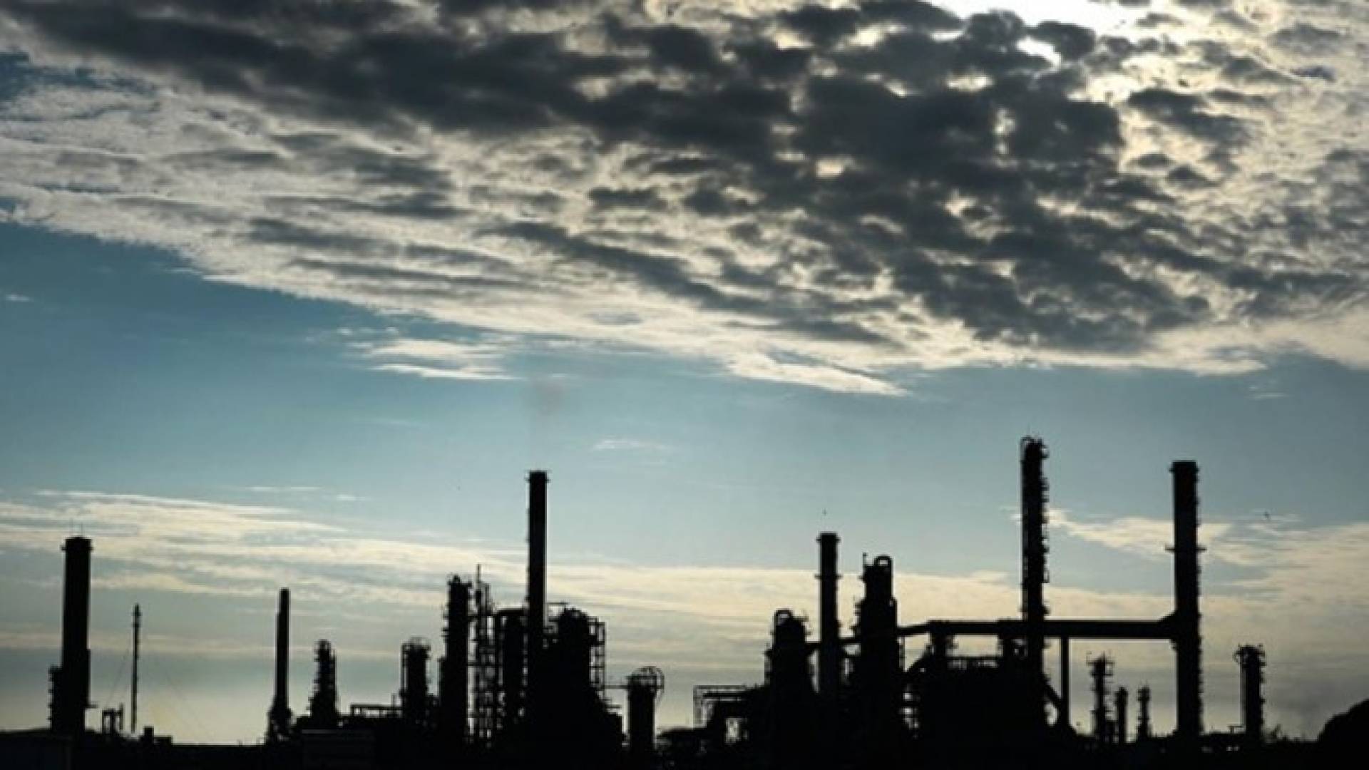 هبوط أسعار منذ عامين ناتج عن تخمة المعروض