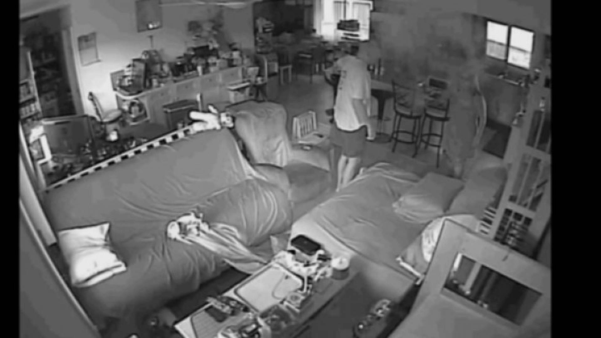 صورة من الفيديو الذي رصدته كاميرا المنزل