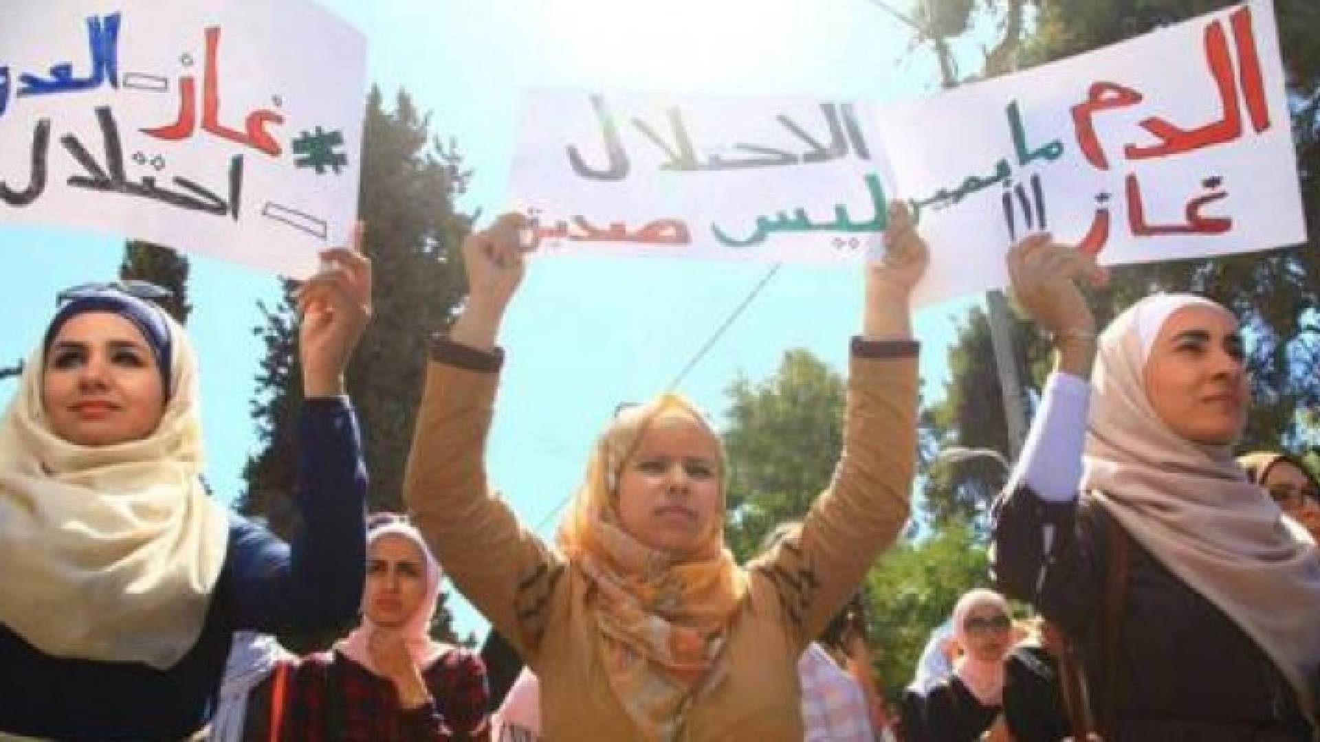 جانب من الاعتصام 