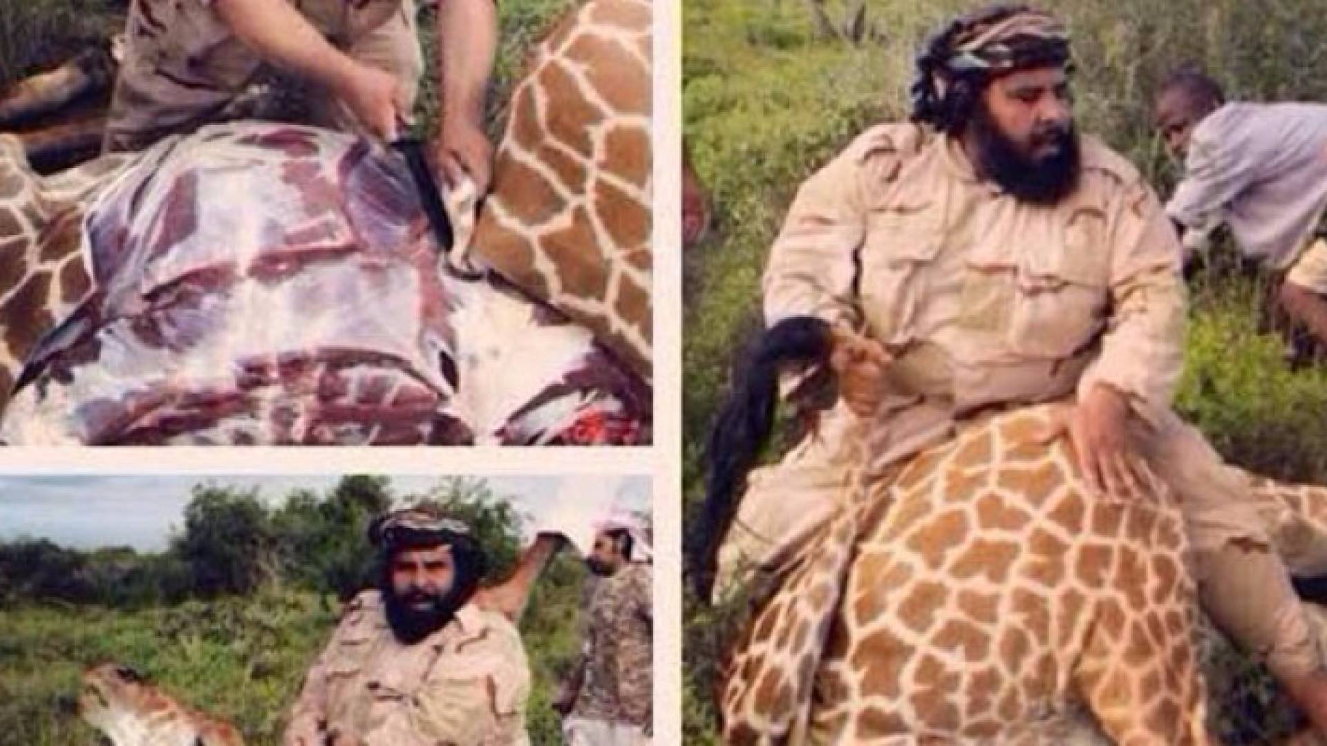 السعودي الذي ذبح زرافه