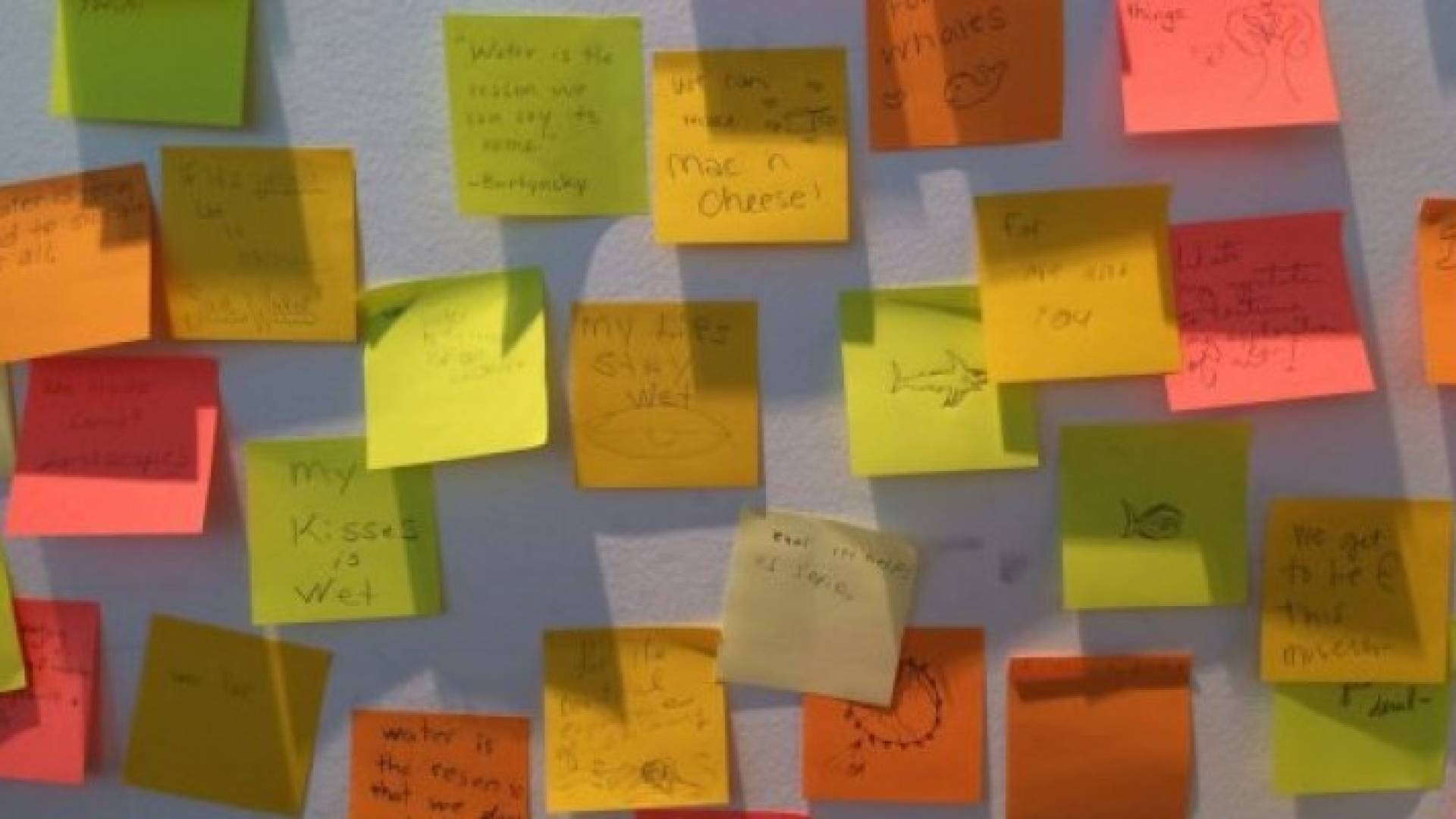 21 أداة لا تتغير بمرور الزمن.. لن تتخيل حياتك دونها!