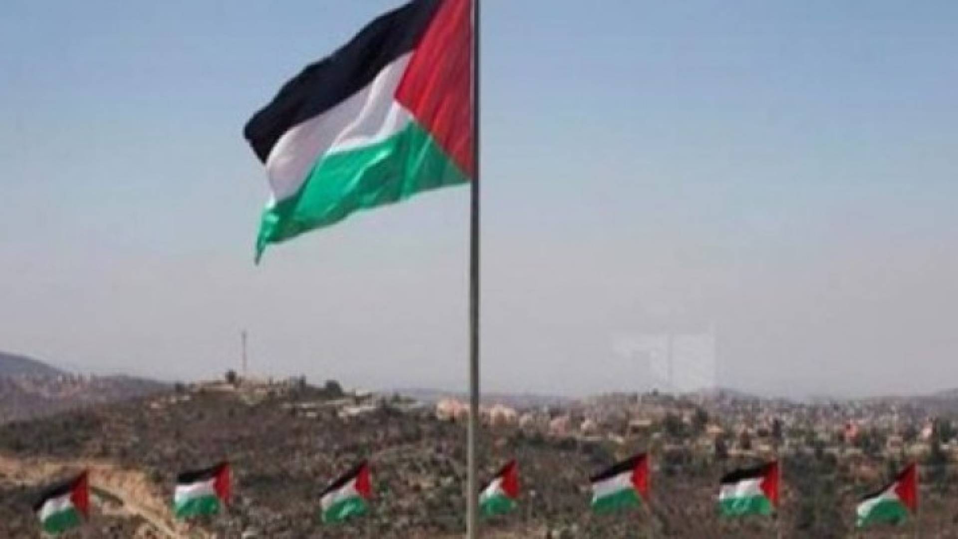 علم دولة فلسطين