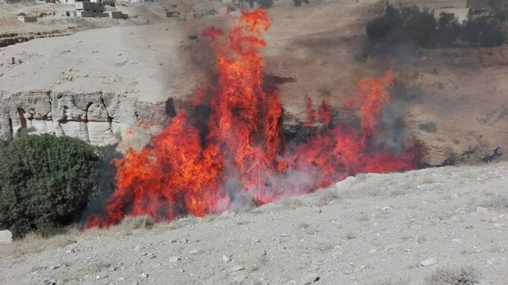 الحريق الذي التهم عدد من الاشجار المثمرة 