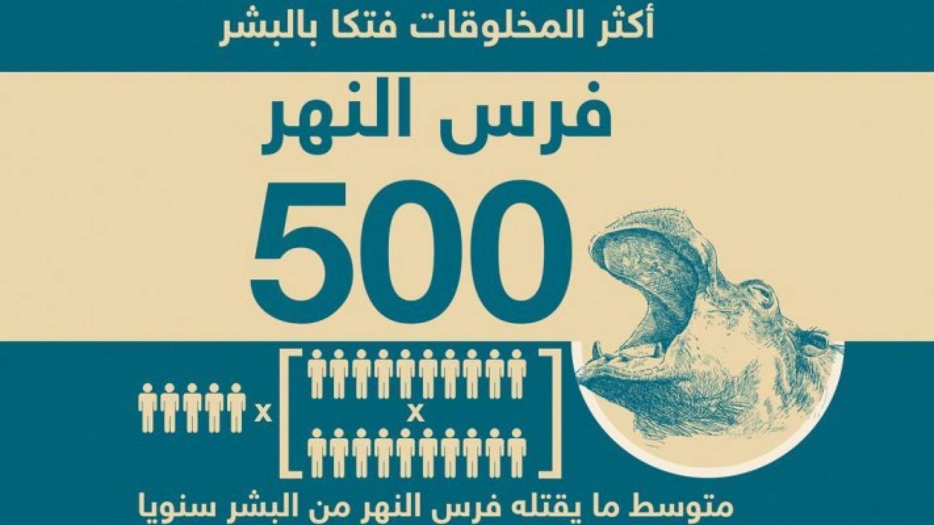 إنفوغرافيك