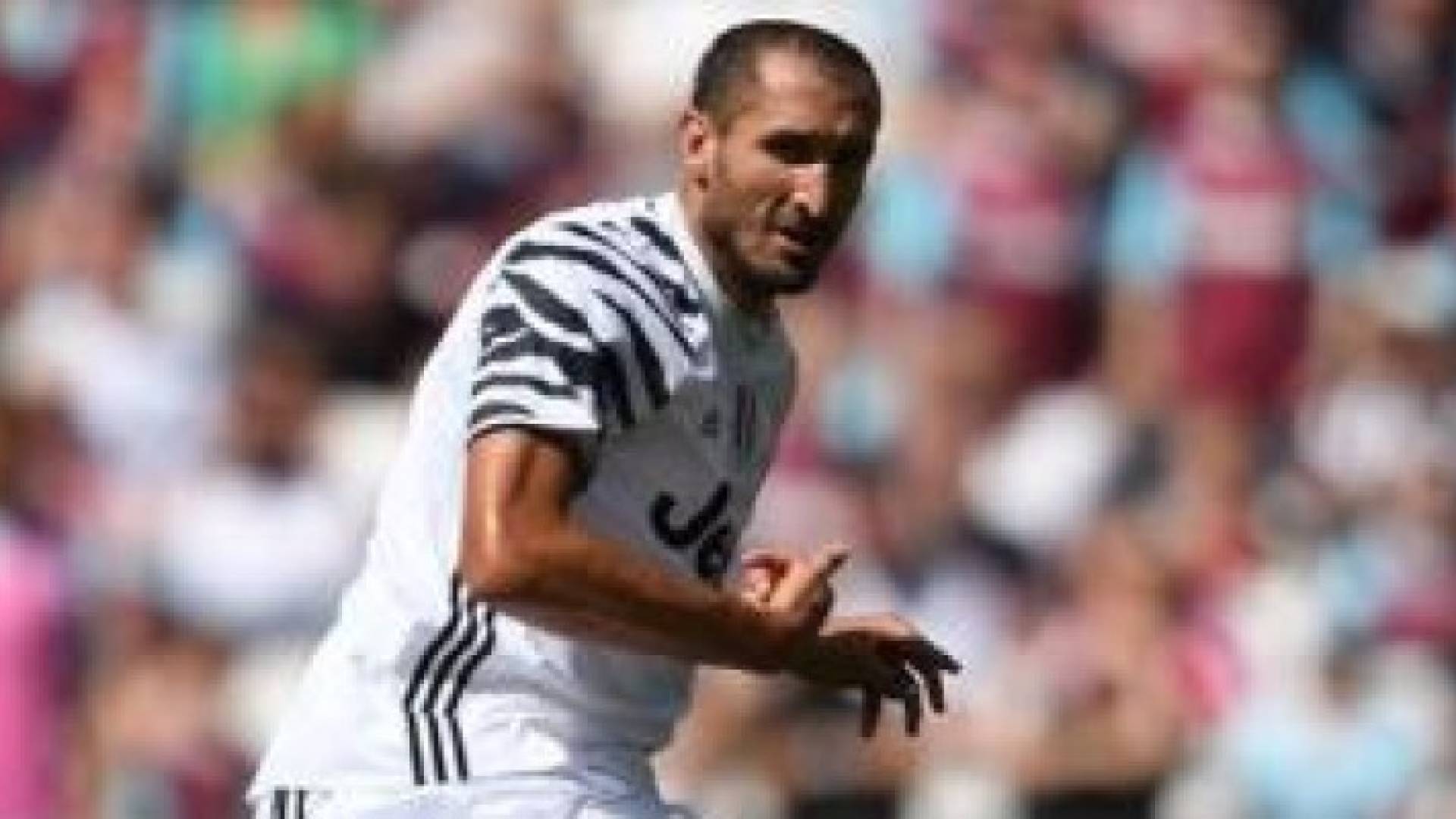 كيليني لاعب يوفنتوس 