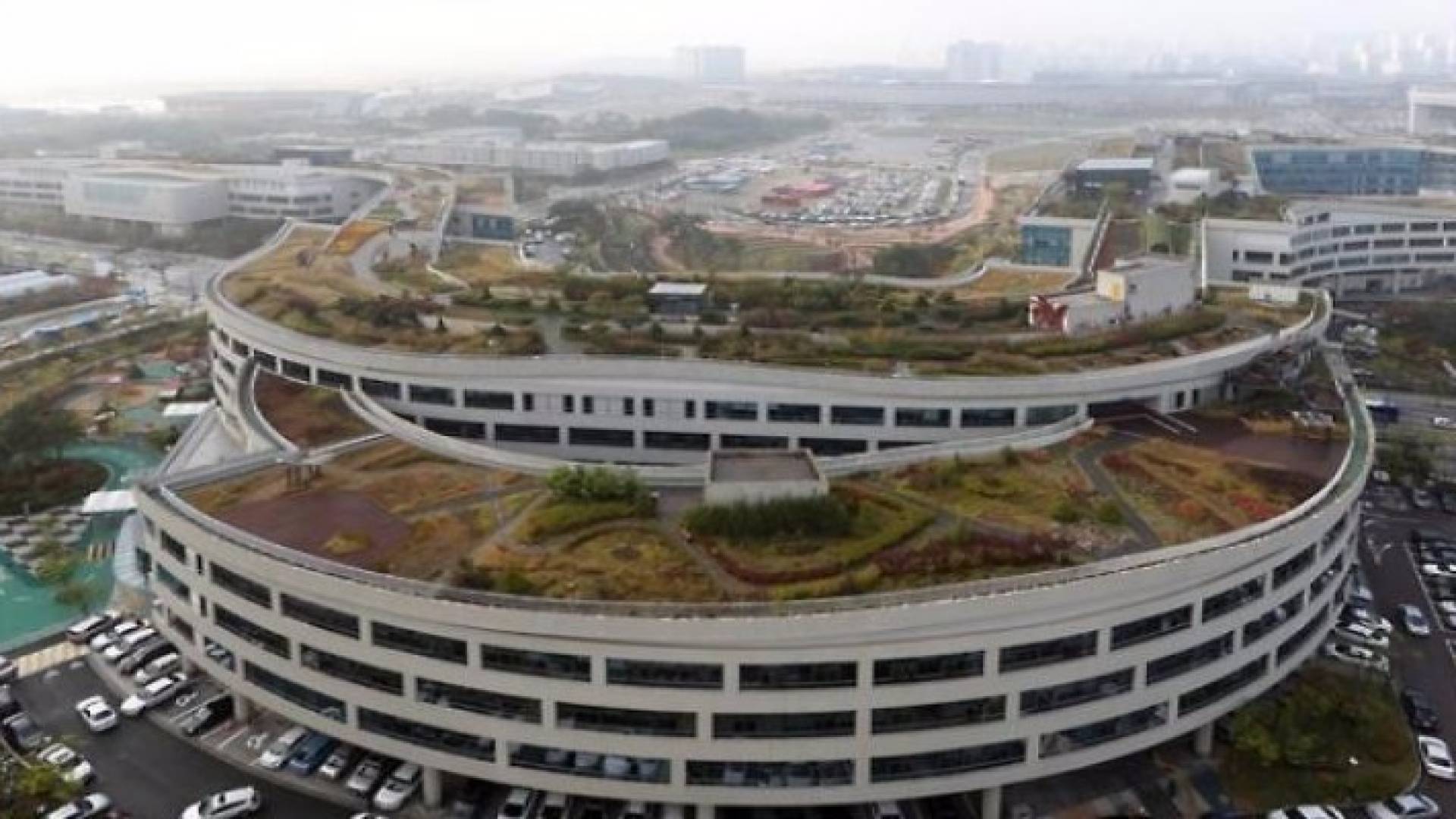 حديقة على السطح تدخل موسوعة غينيس 