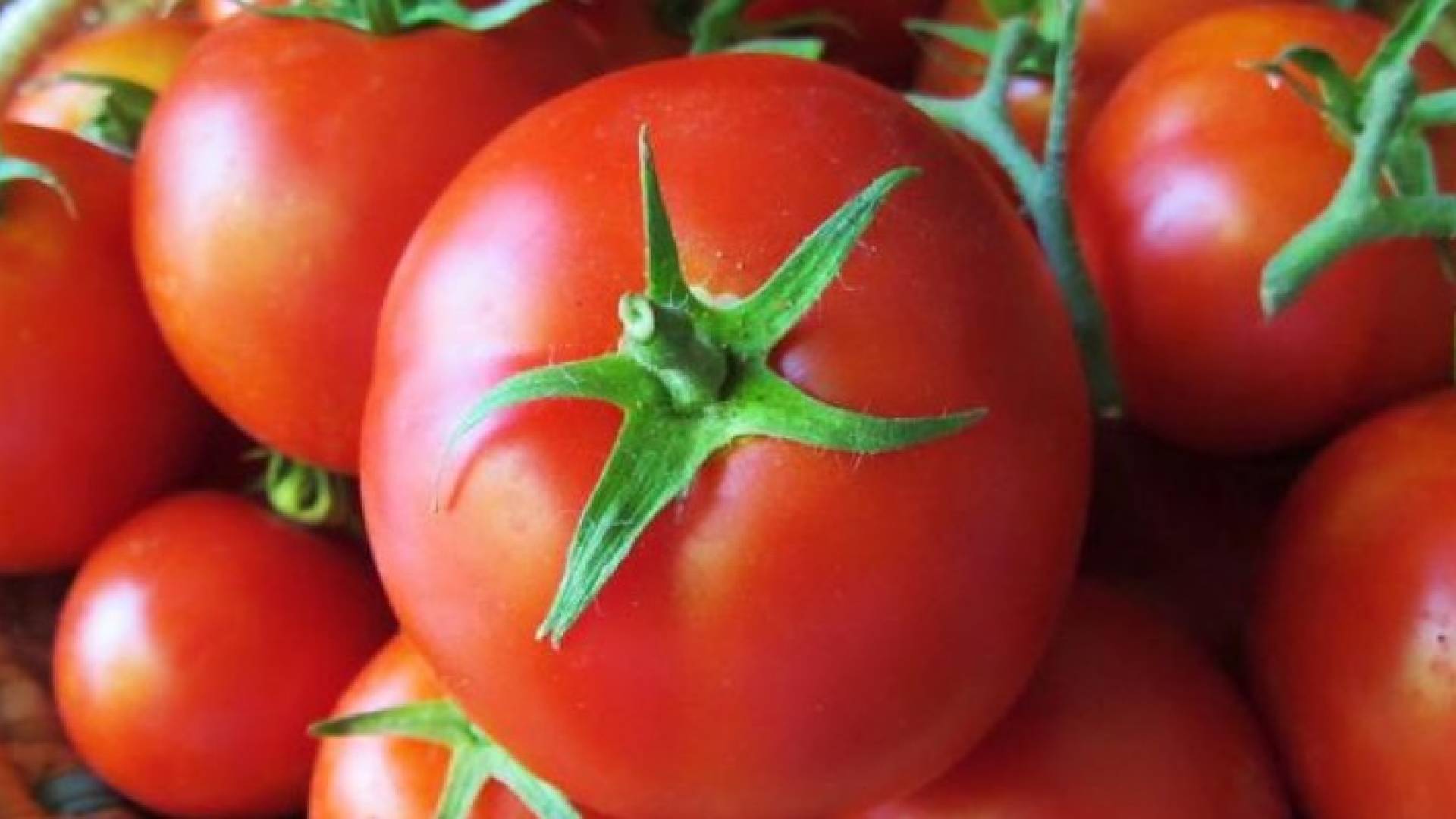 للحفاظ على نظر قوي.. عليك بـ8 أطعمة