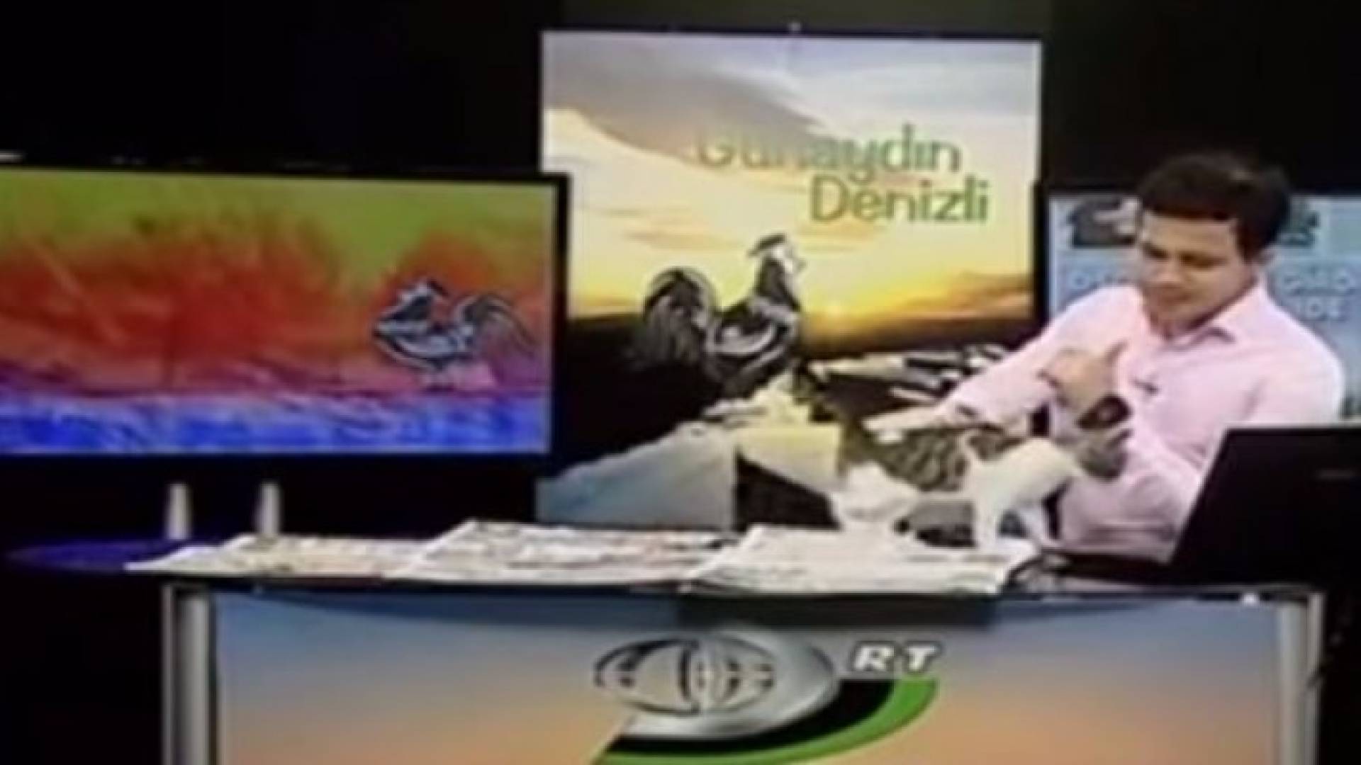 قط يقتحم برنامج تلفزيوني