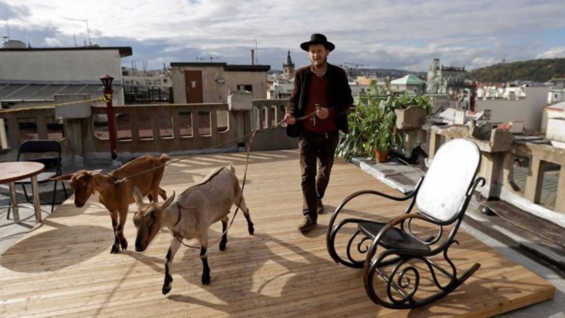 ضيفا شرف على سطح قصر لوسيرنا